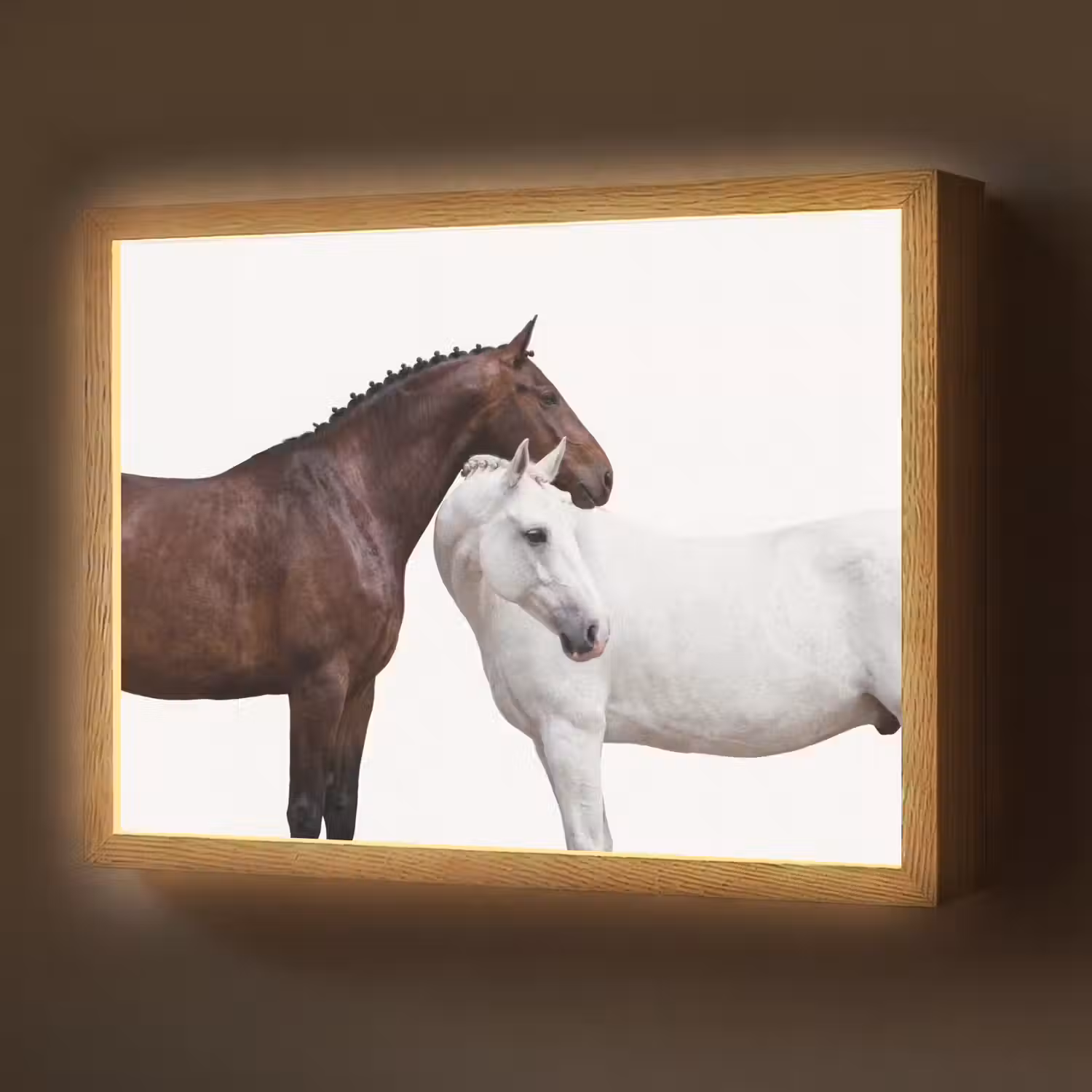 Paard - Modern - Balans Light Box met batterij (Wandlamp) middel -z3d_website