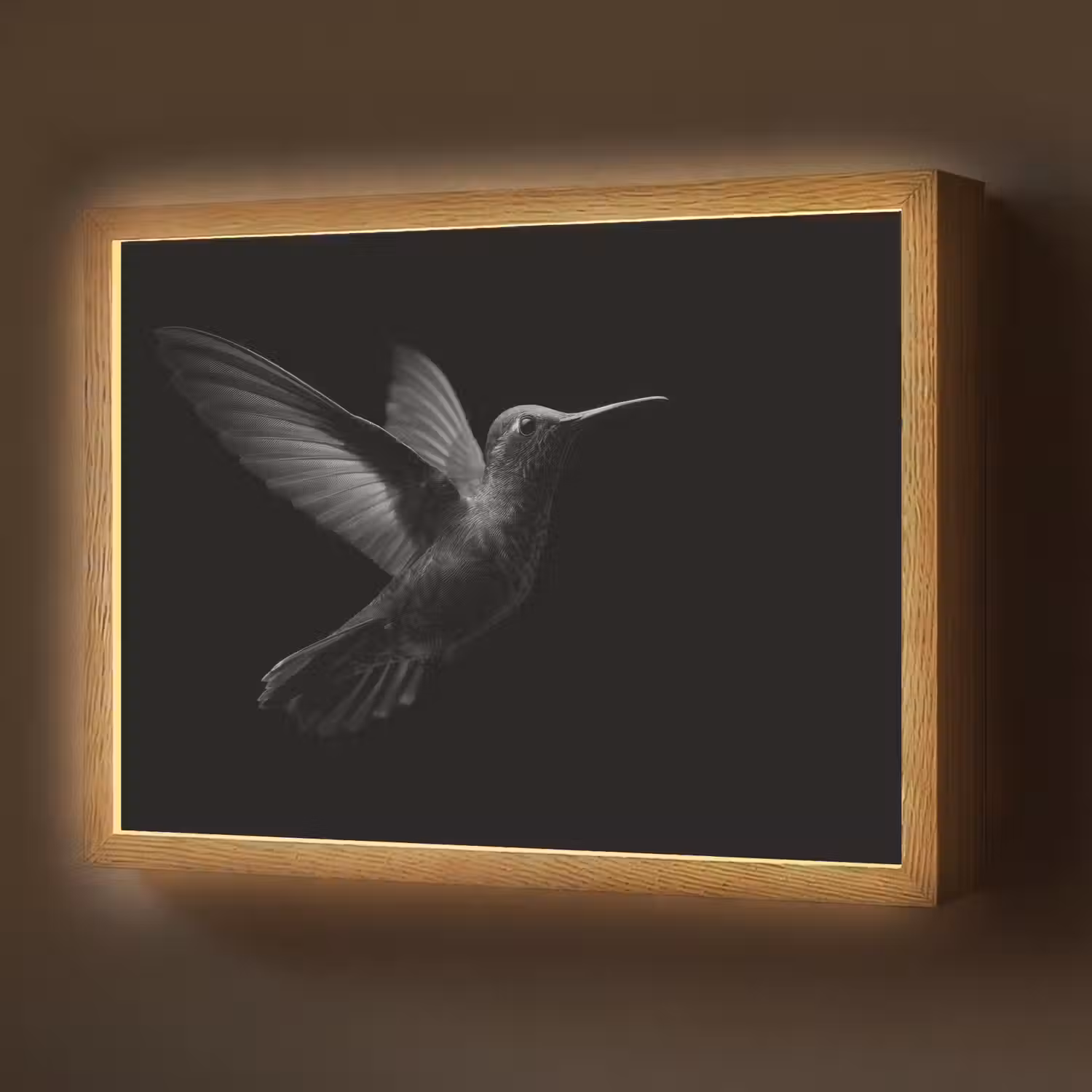 Kolibrie - Zwart - Dieren Light Box met batterij (Wandlamp) middel -z3d_website