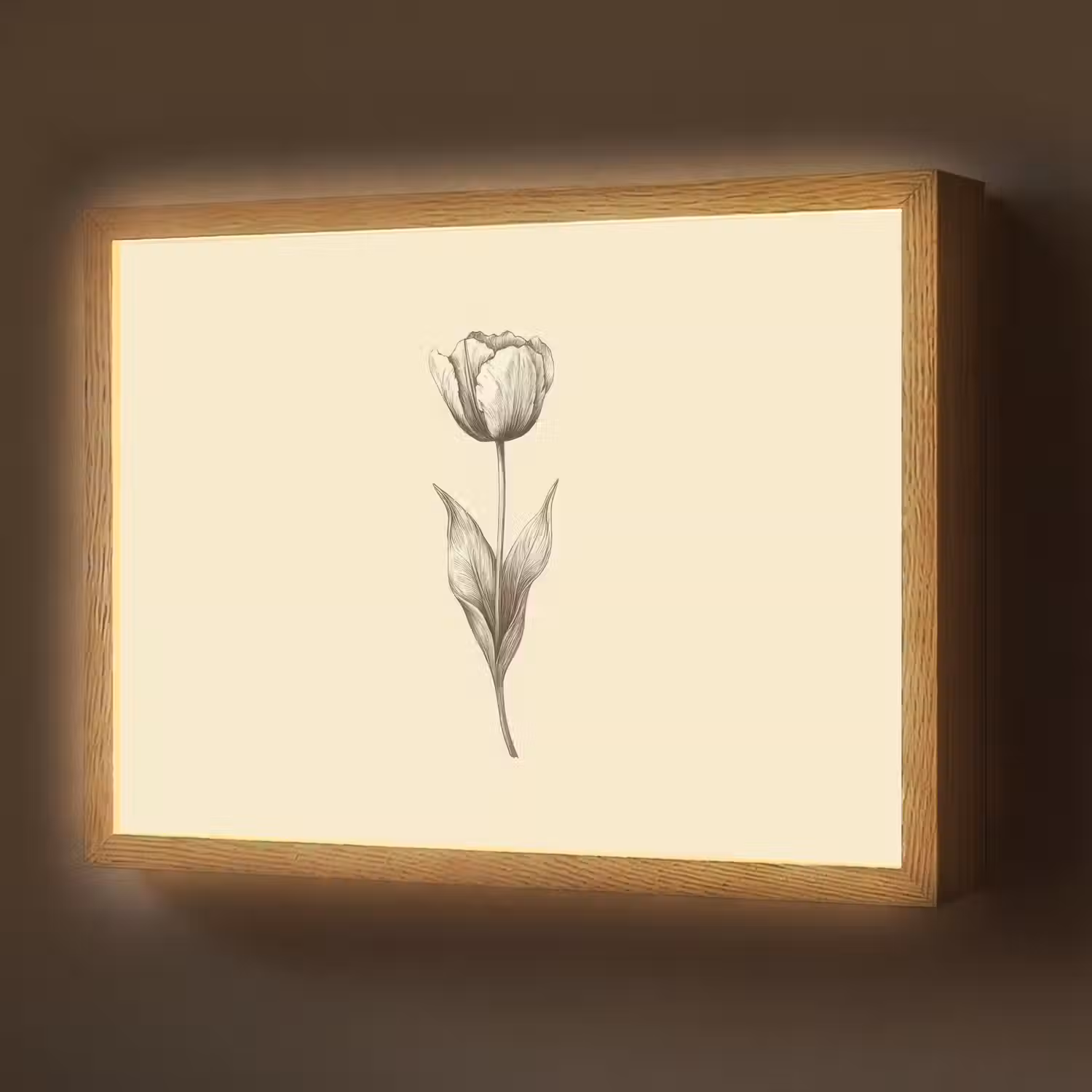 Illustratie - Tulp - Zwart Light Box met batterij (Wandlamp) middel -z3d_website