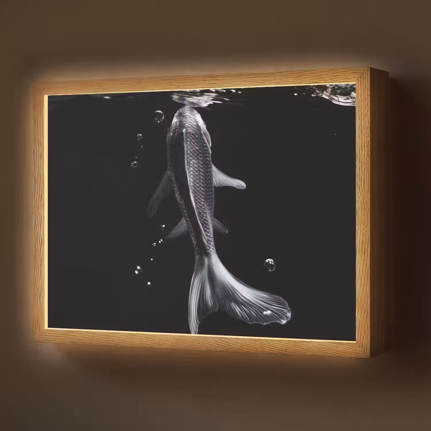 Koi - Vissen - Water - Zwart Light Box met batterij (Wandlamp) middel -z3d_website