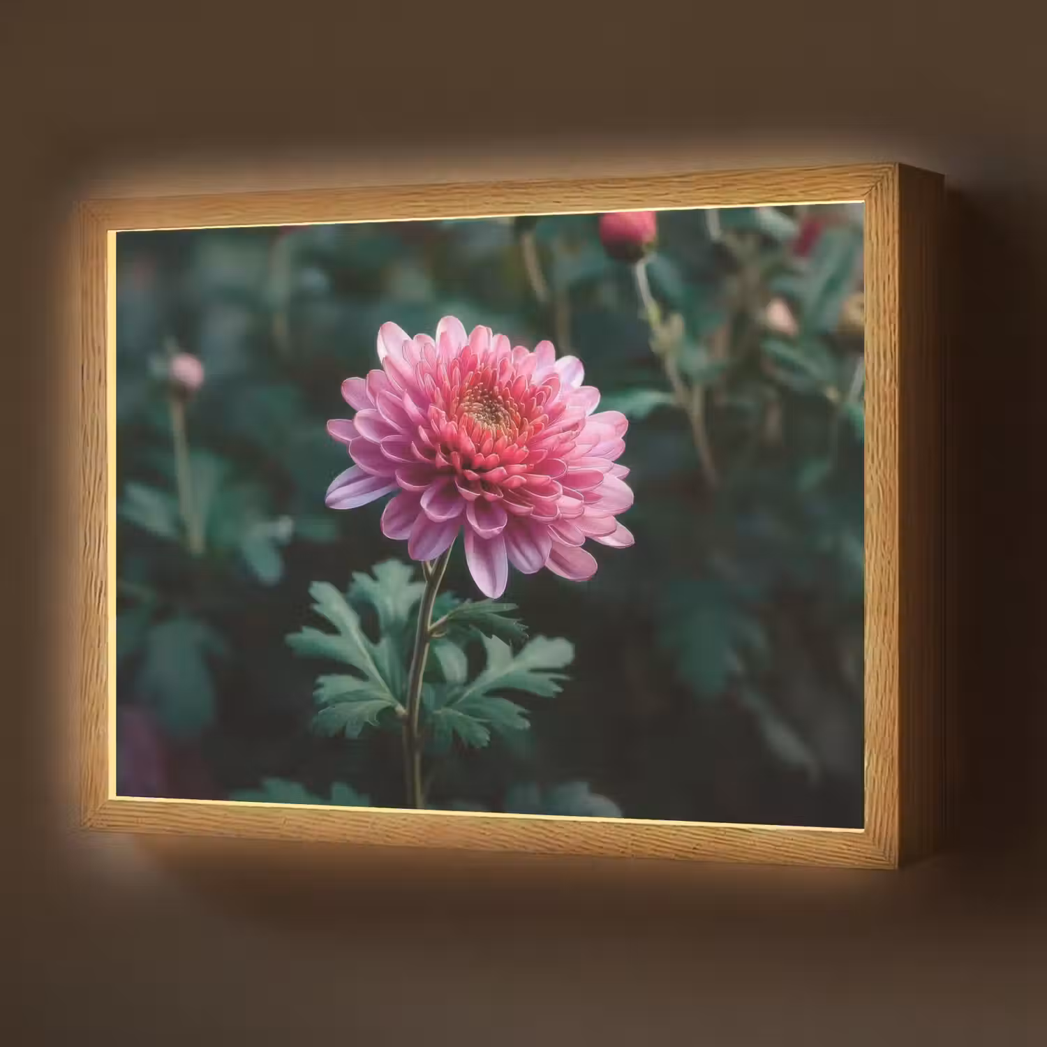 Blad - Chrysant - Roze - Schaduw Light Box met batterij (Wandlamp) middel -z3d_website