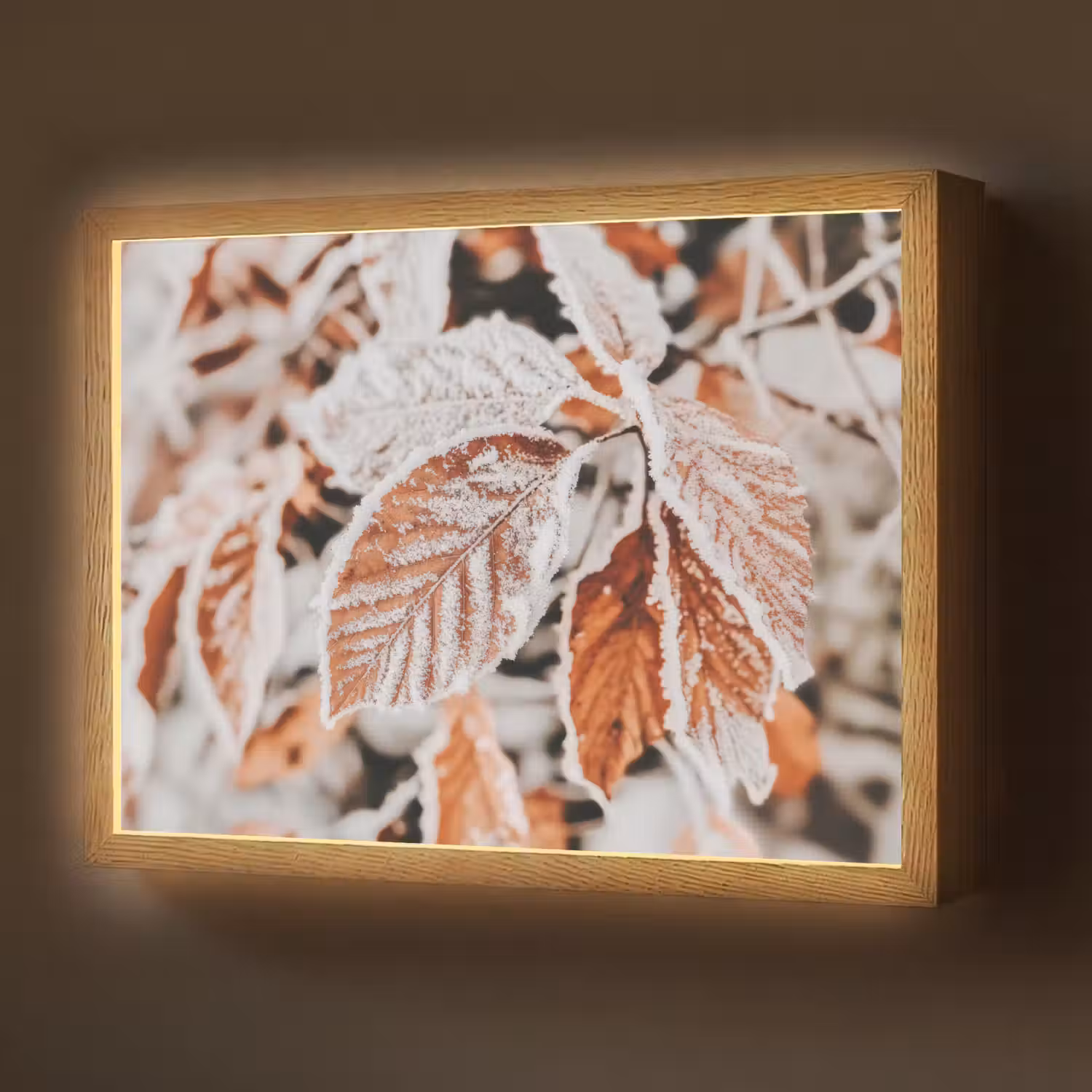 Bladeren - IJs - Winter - Natuur Light Box met batterij (Wandlamp) middel -z3d_website