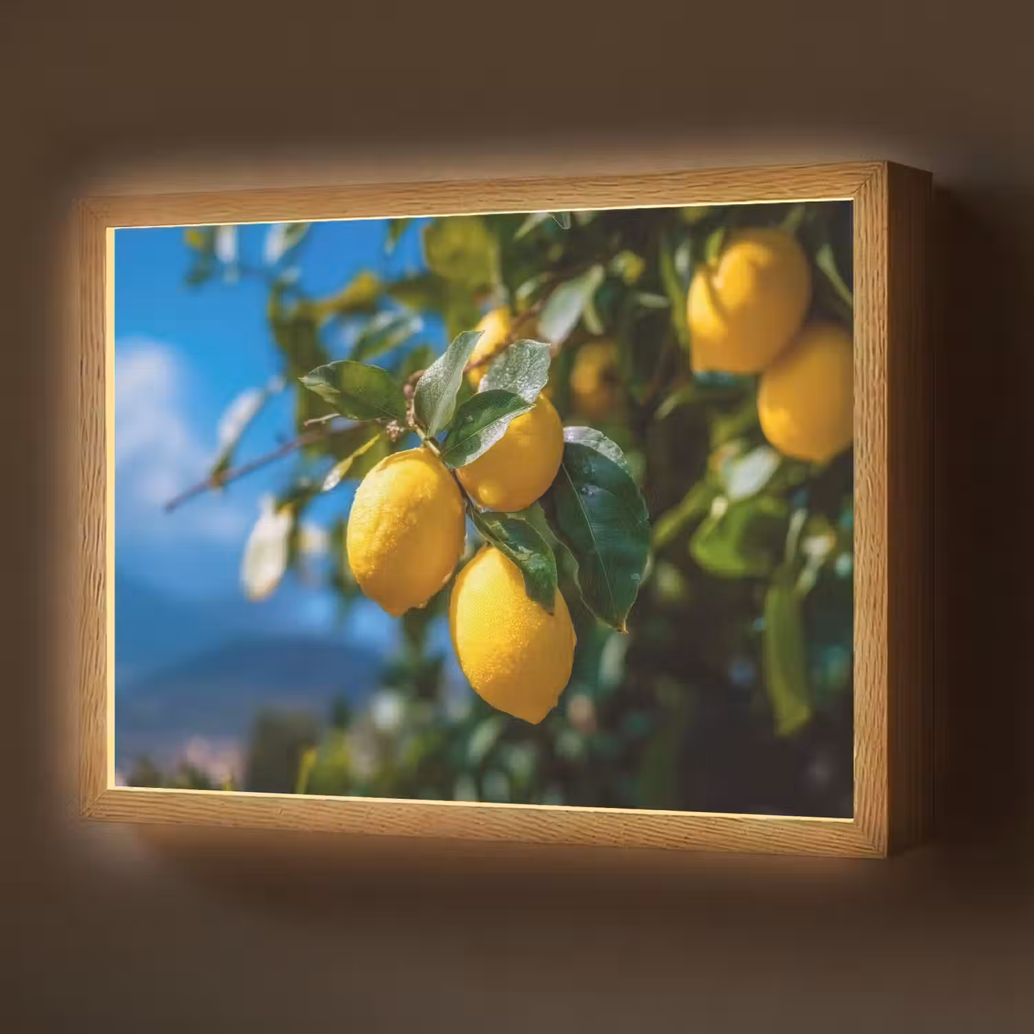 Citroenen - Bladeren - Blauwe lucht Light Box met batterij (Wandlamp) middel -z3d_website