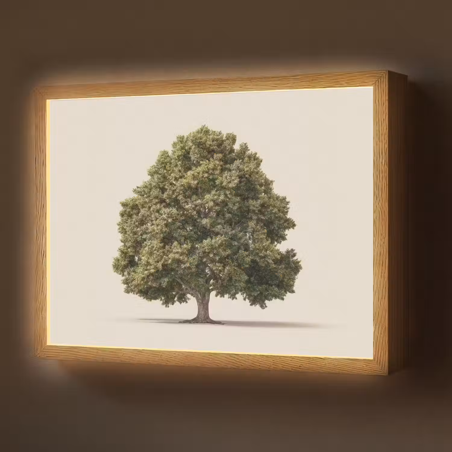 Eikenboom - Groen - Lichte achtergrond Light Box met batterij (Wandlamp) middel -z3d_website