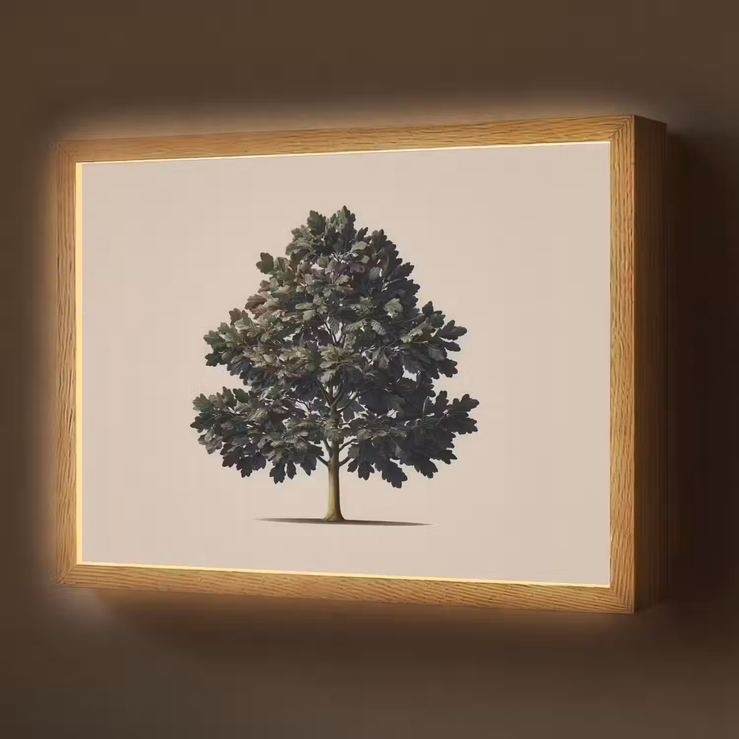 Eikenboom - Schaduw - Egaal Light Box met batterij (Wandlamp) middel -z3d_website