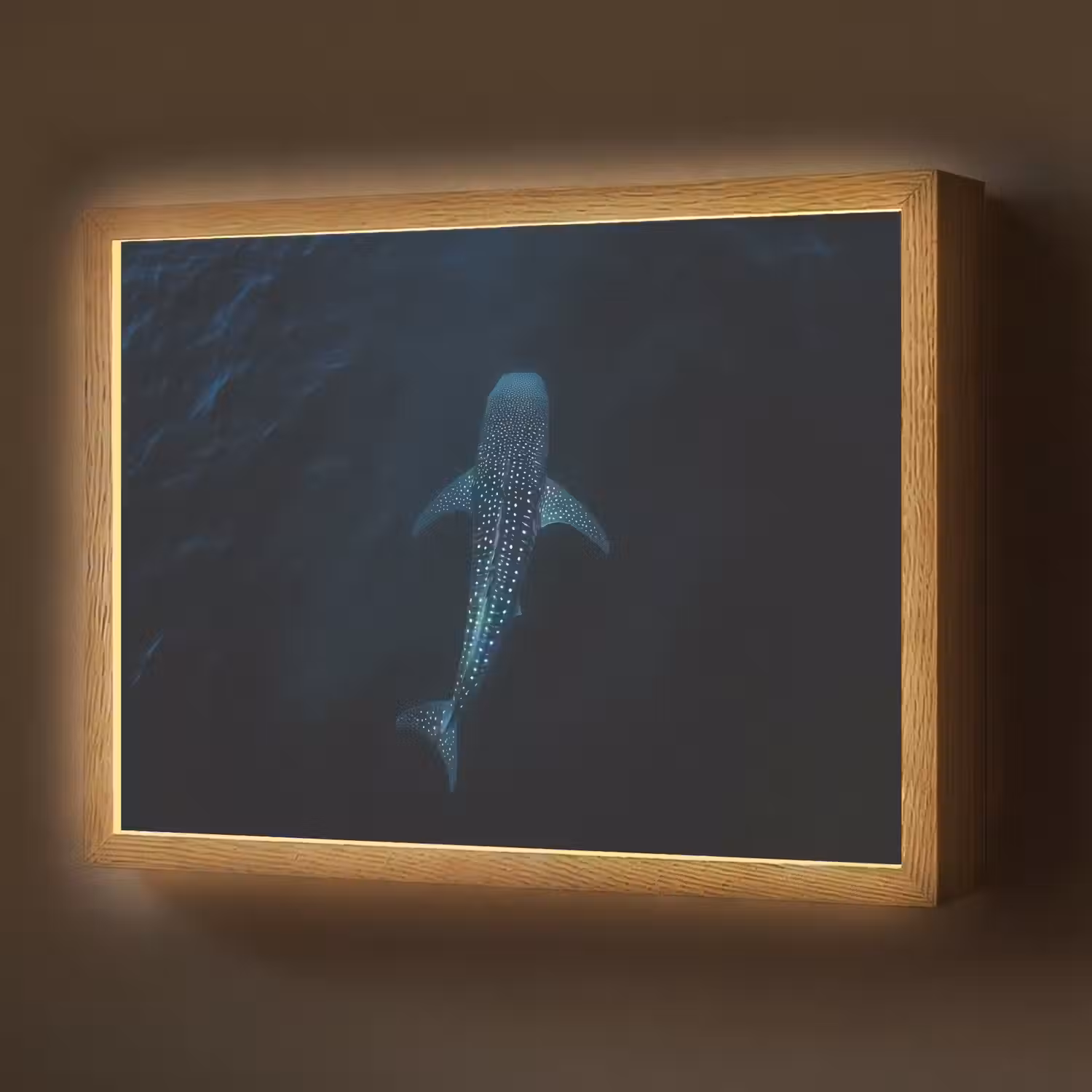 Oceaan - Walvishaai - Donkerblauw - Vlekken Light Box met batterij (Wandlamp) middel -z3d_website