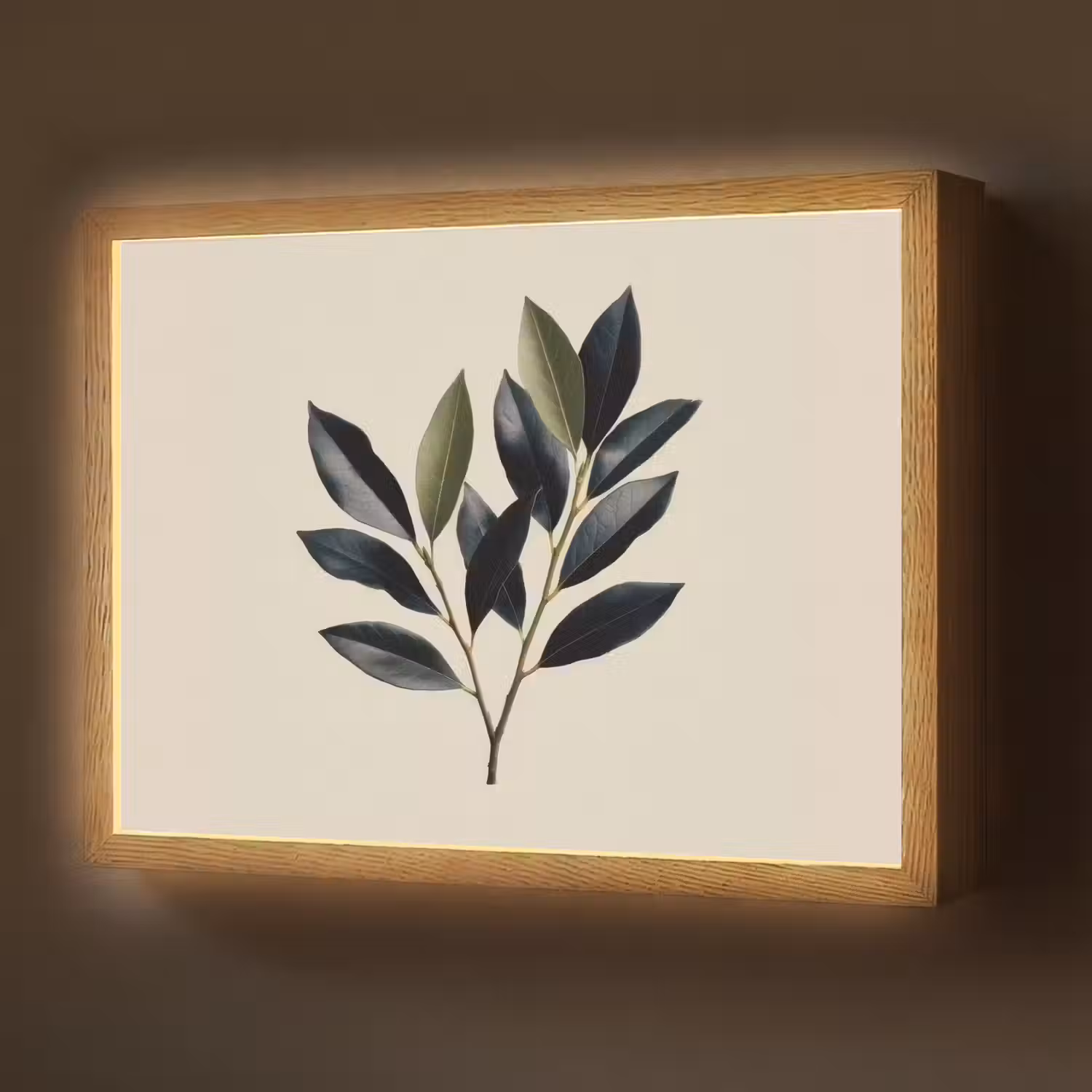 Ovaal - Olijfgroen - Simpel Light Box met batterij (Wandlamp) middel -z3d_website