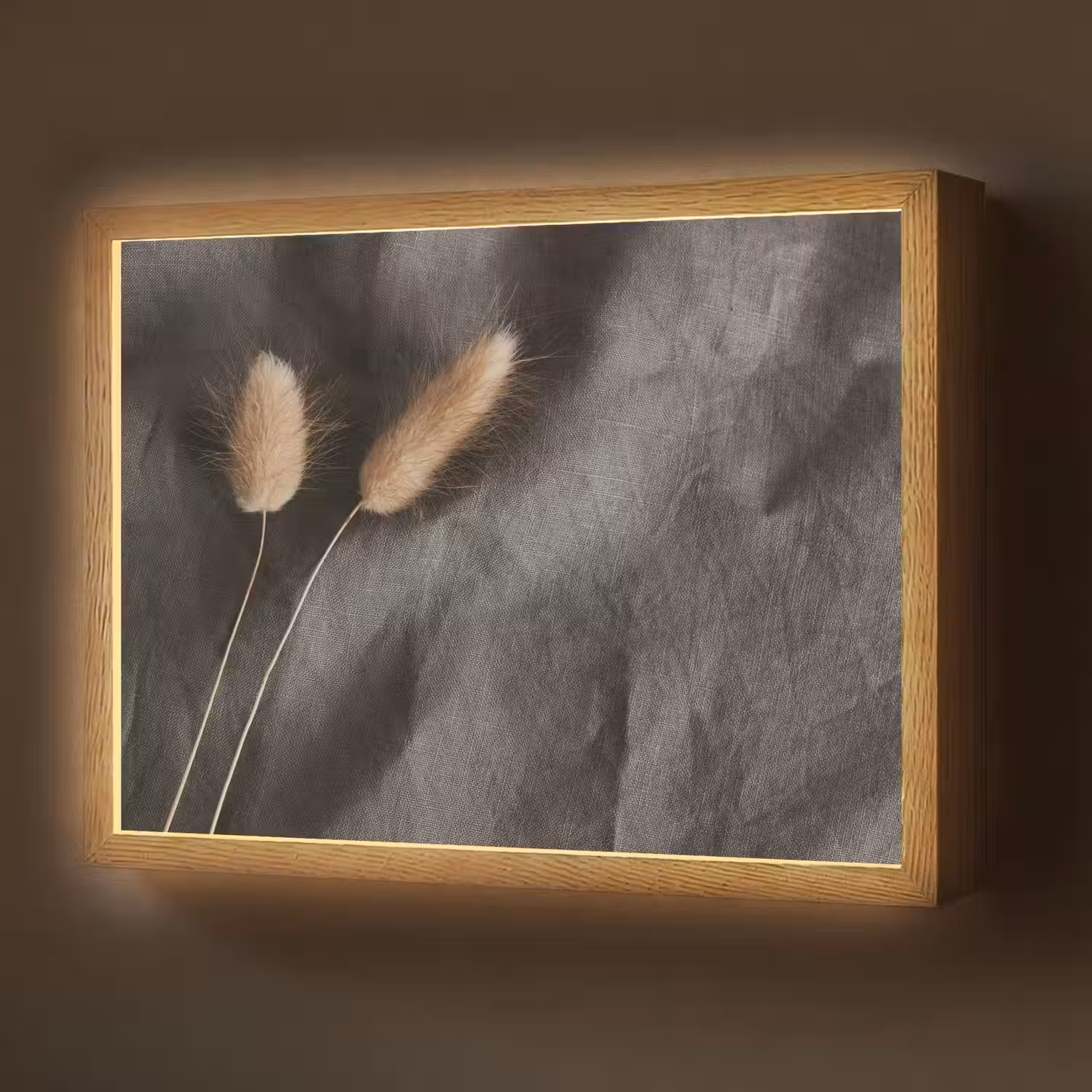 Pampasgras - Pluim - Zwart - Beige Light Box met batterij (Wandlamp) middel -z3d_website