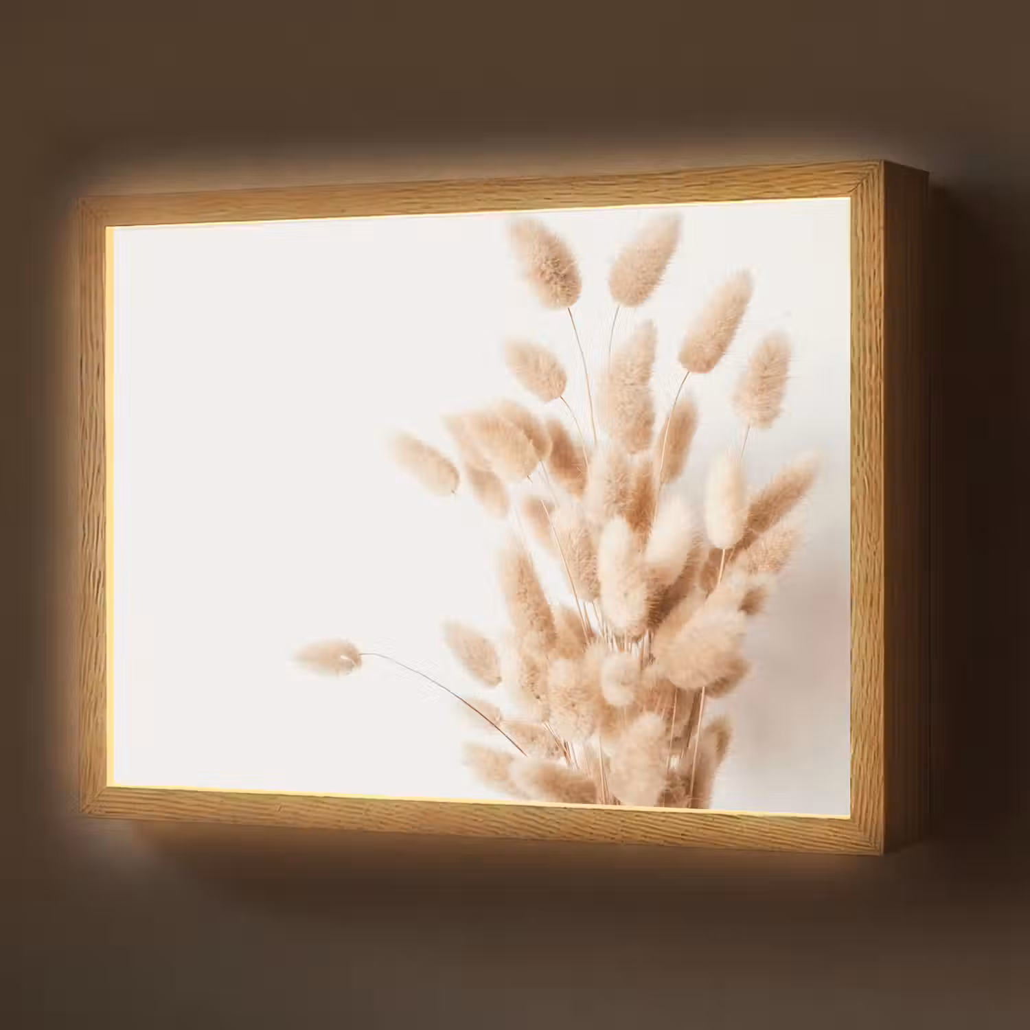 Pampasgras - Pluim - Wit - Beige Light Box met batterij (Wandlamp) middel -z3d_website
