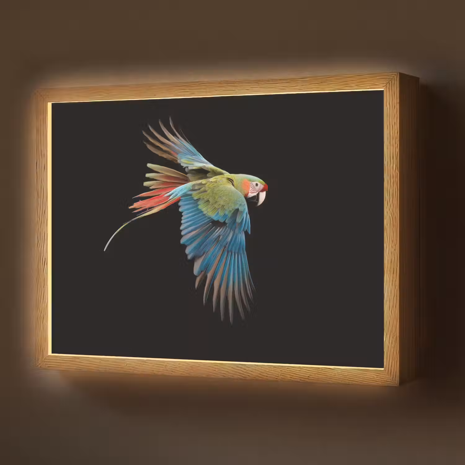Papegaai - Kleurrijk - Vleugels - Sierlijk Light Box met batterij (Wandlamp) middel -z3d_website