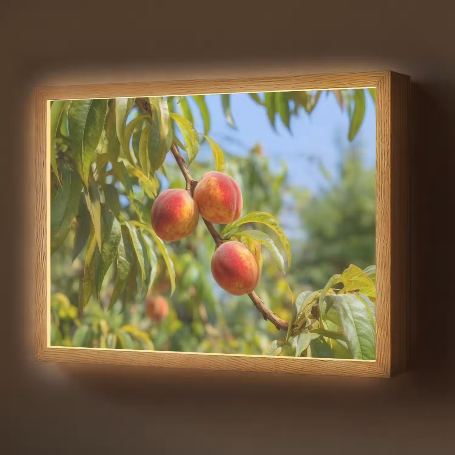 Perzik - Bladeren - Zonlicht Light Box met batterij (Wandlamp) middel -z3d_website