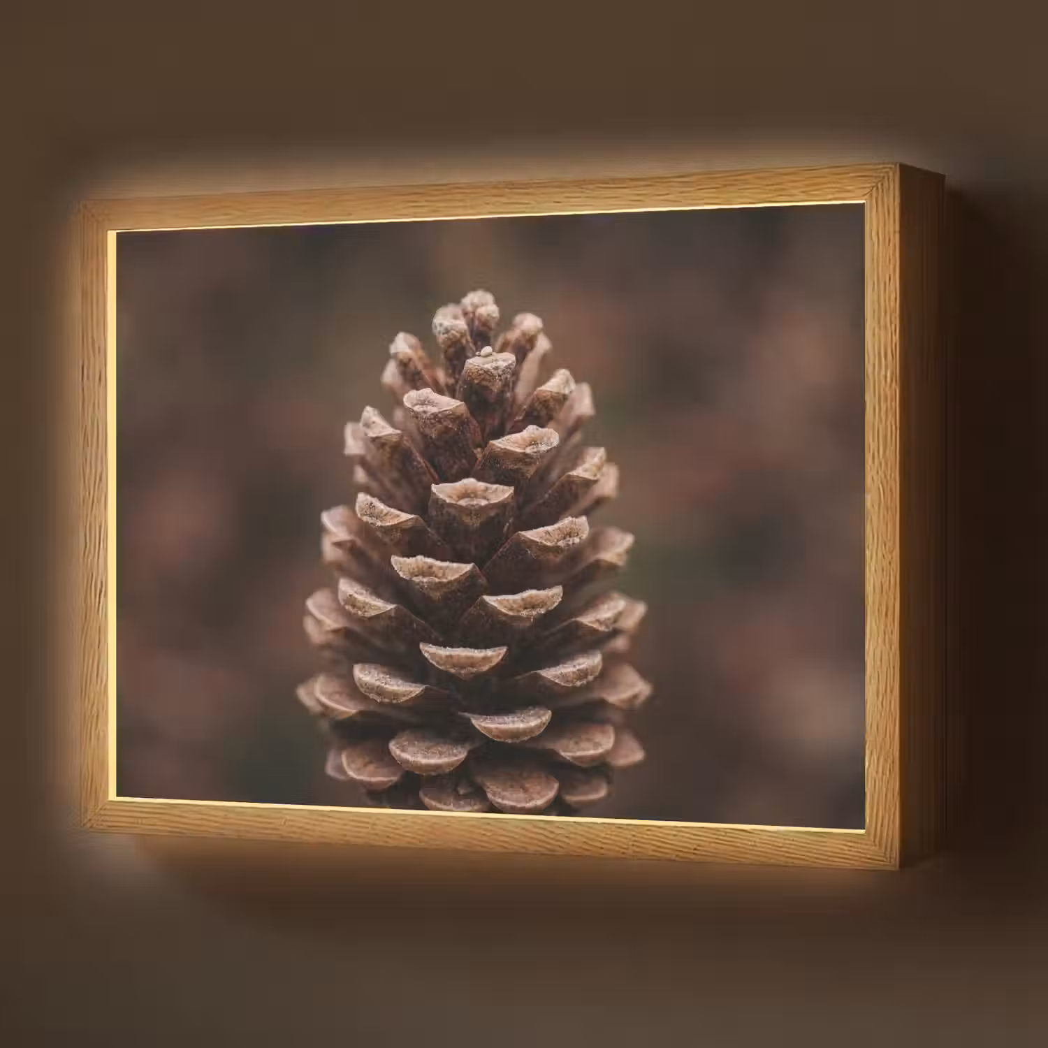 Dennenappel - Bos - Herfst - Bruin - Sfeervol Light Box met batterij (Wandlamp) middel -z3d_website