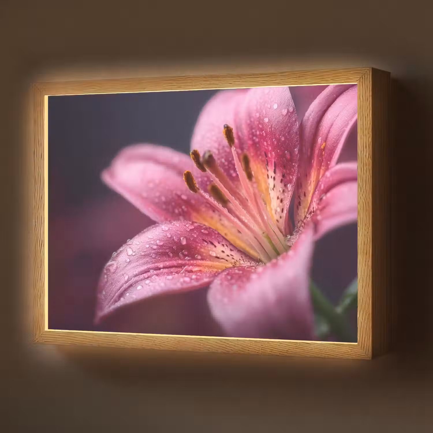 Roze - lelie - Dauwdruppels Light Box met batterij (Wandlamp) middel -z3d_website