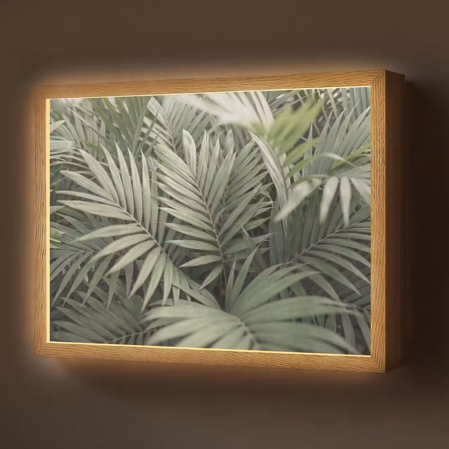 Plant - Palmbladeren - Natuur - Groen Light Box met batterij (Wandlamp) middel -z3d_website