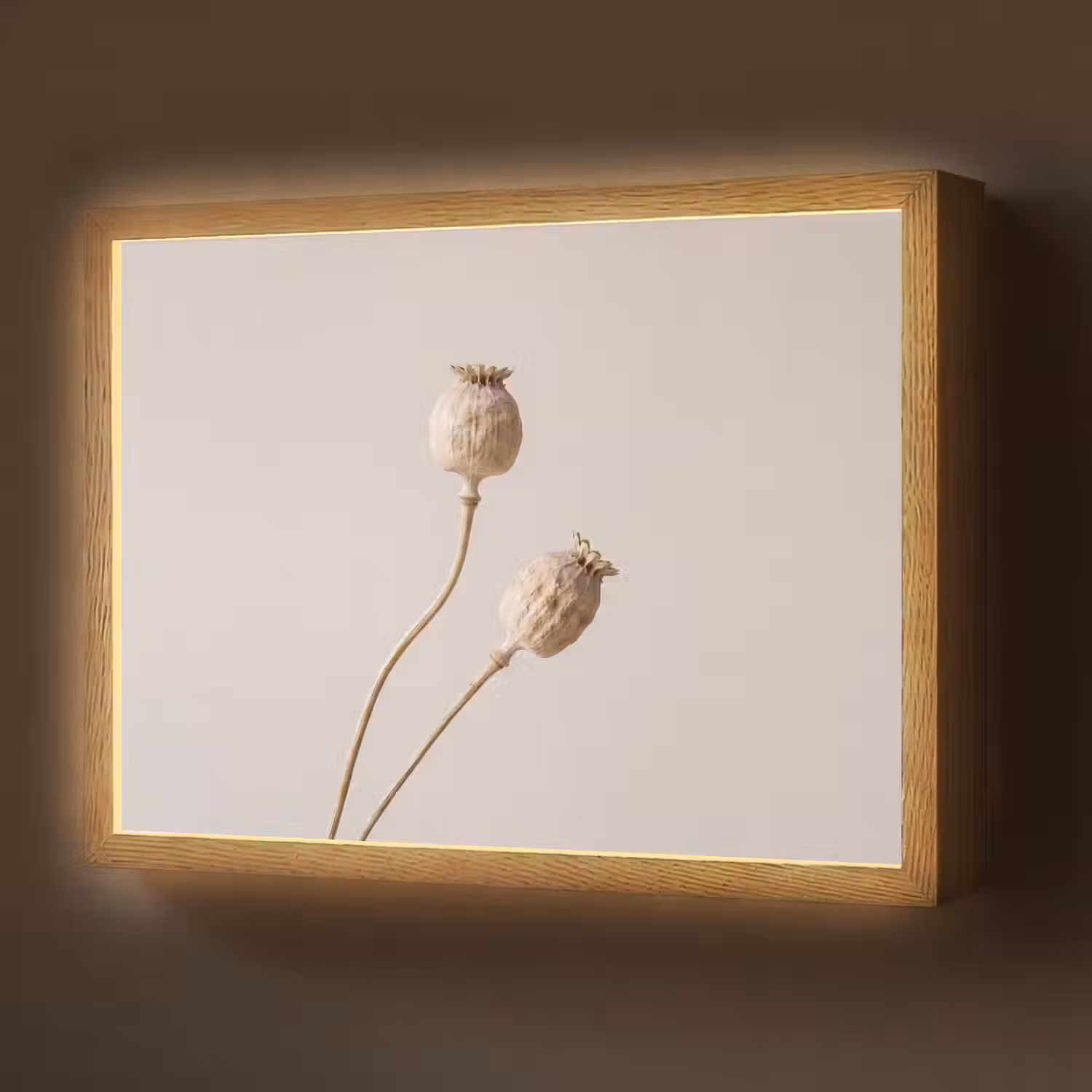 Papaverbollen - Droogbloemen - Minimalistisch - Beige - Rustig Light Box met batterij (Wandlamp) middel -z3d_website