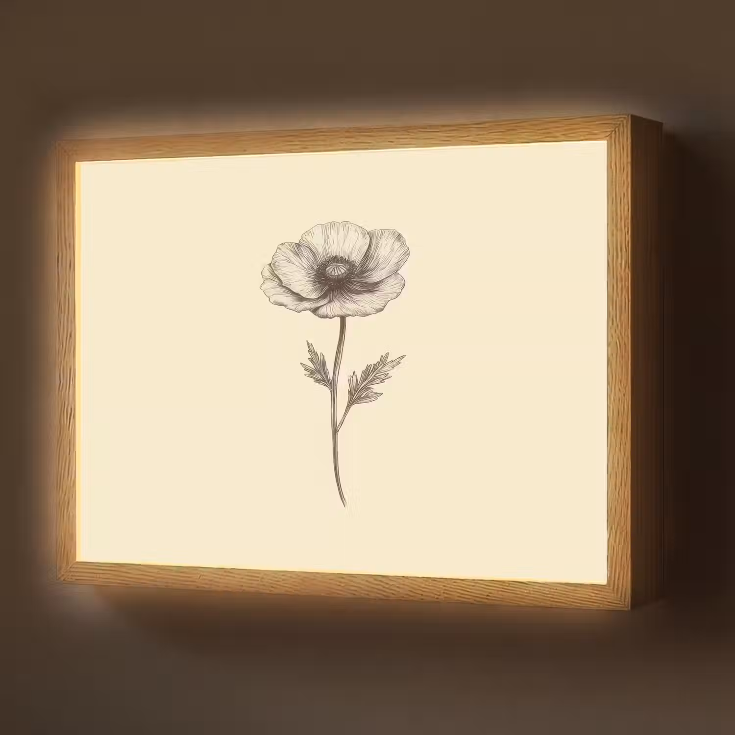 Klaproos - Illustratie - Zwart Light Box met batterij (Wandlamp) middel -z3d_website