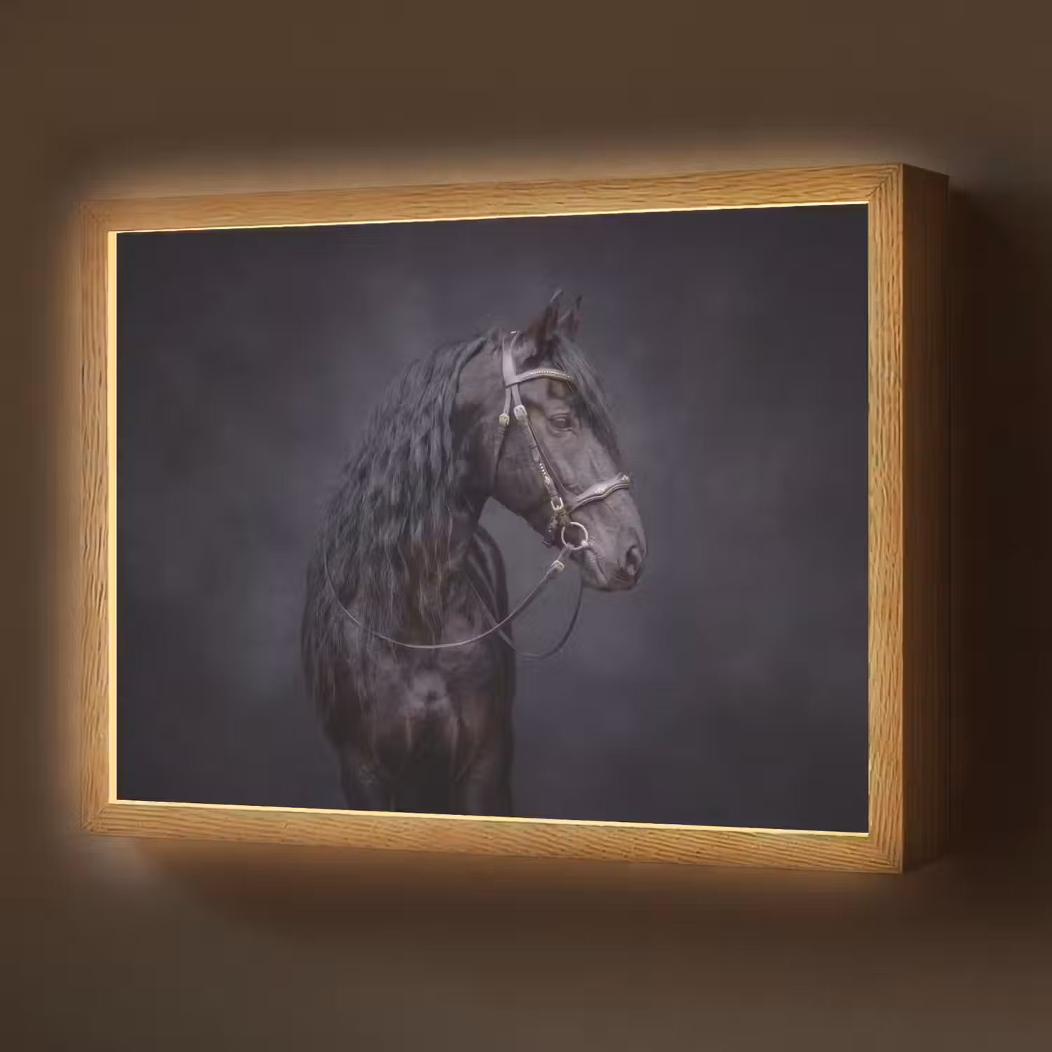Portret - Paard - Donker Light Box met batterij (Wandlamp) middel -z3d_website
