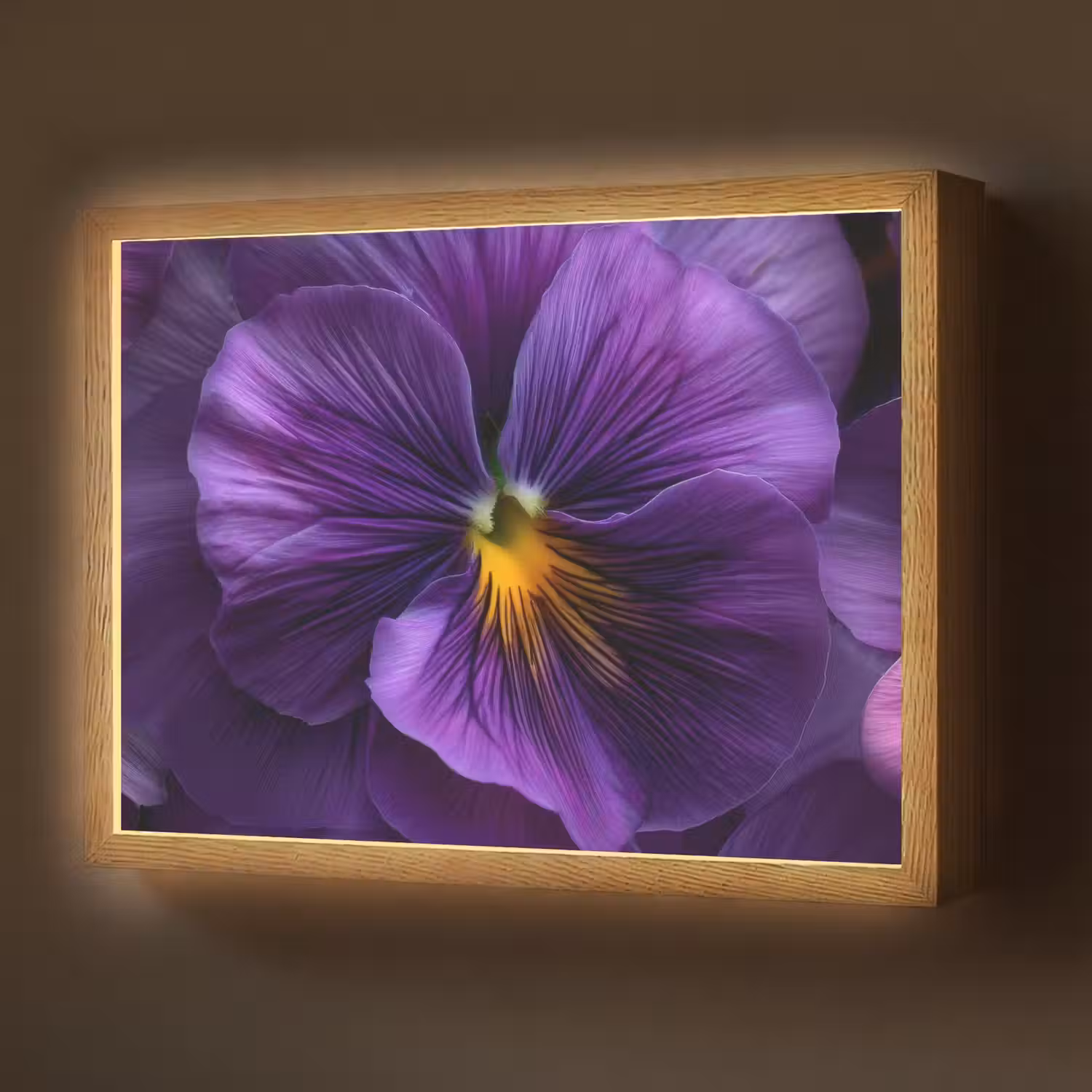 Paars - Viool - Diepte Light Box met batterij (Wandlamp) middel -z3d_website