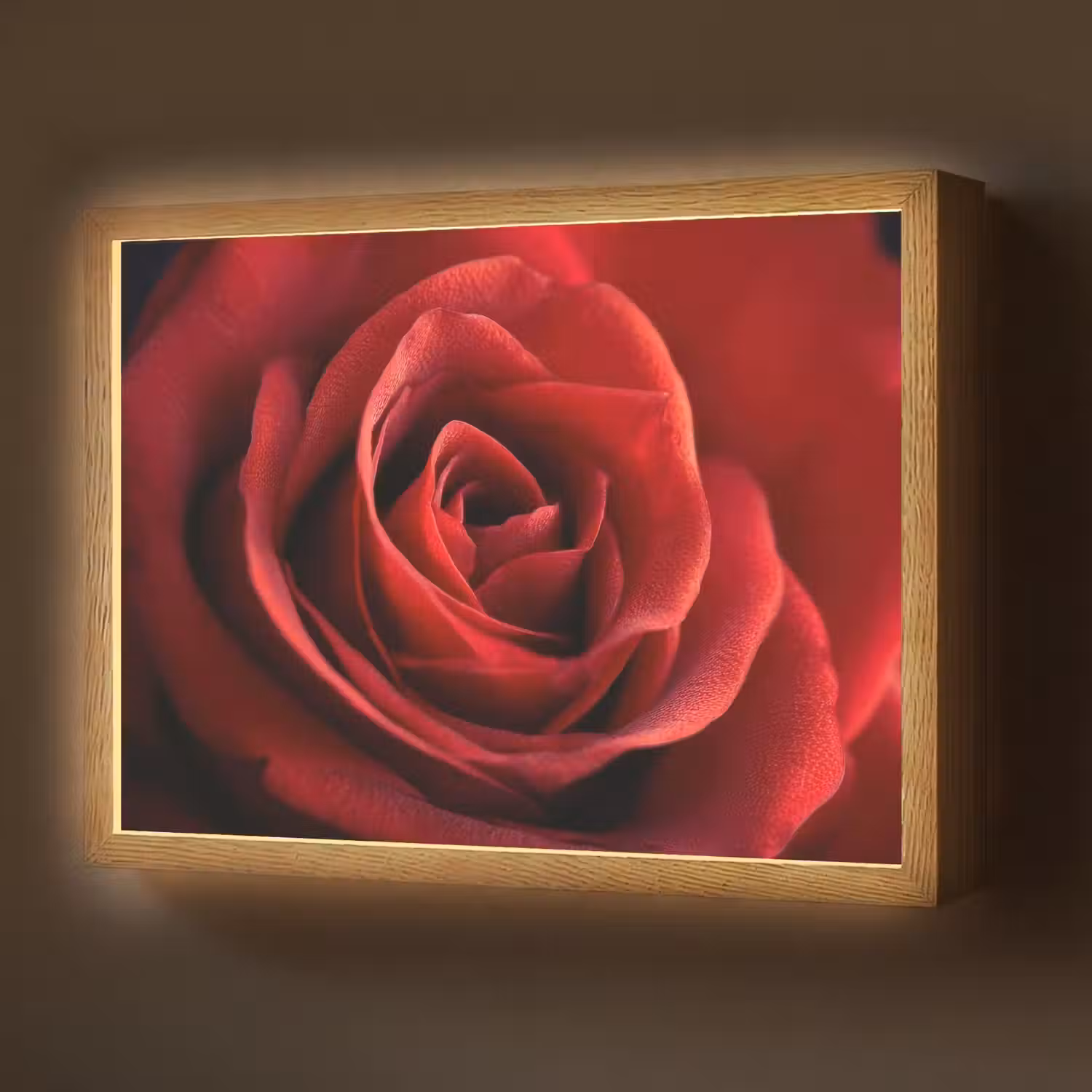 Rood - Roos - Romantisch Light Box met batterij (Wandlamp) middel -z3d_website