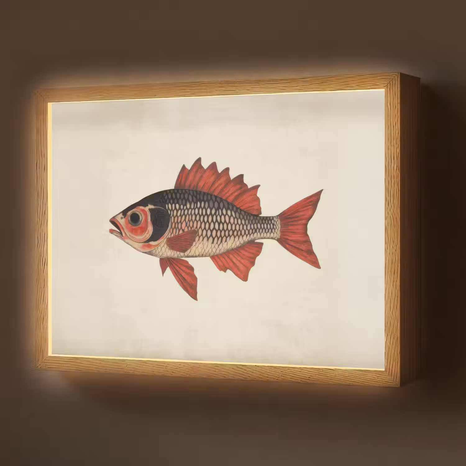 Schubben - Rood - Vis - Vinnen Light Box met batterij (Wandlamp) middel -z3d_website