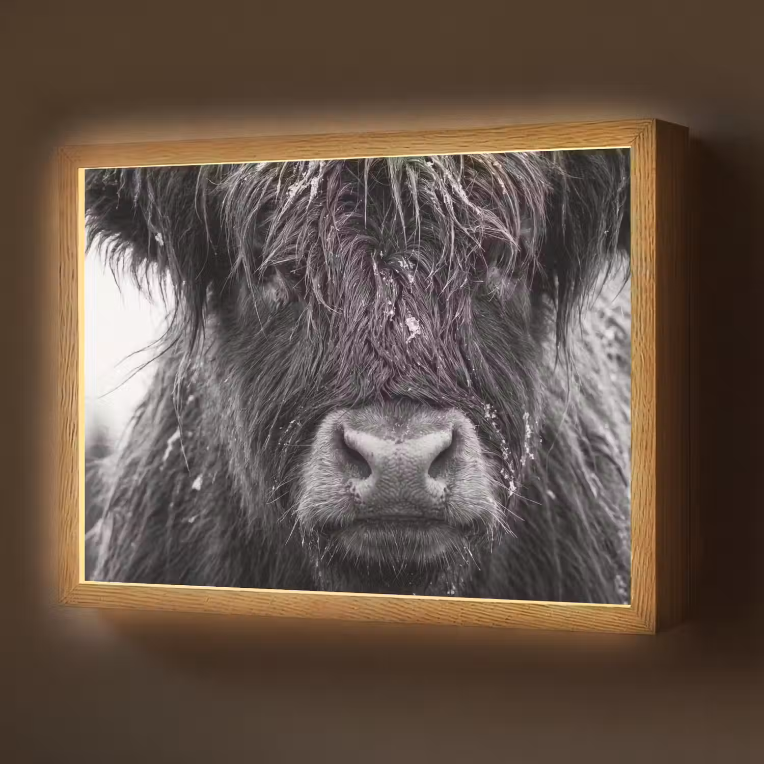Schotse hooglander - Zwart - Wit - Sneeuwvlokken Light Box met batterij (Wandlamp) middel -z3d_website