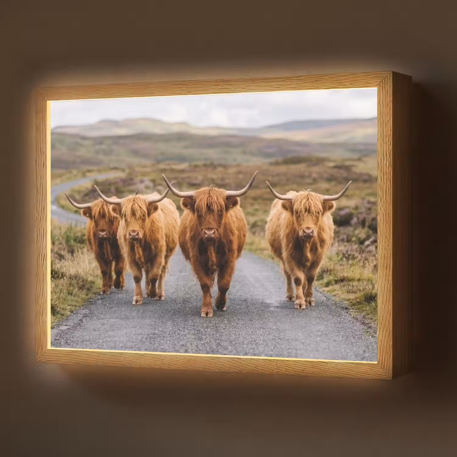Schotse Hooglanders - Weg - Landschap - Kudde Light Box met batterij (Wandlamp) middel -z3d_website