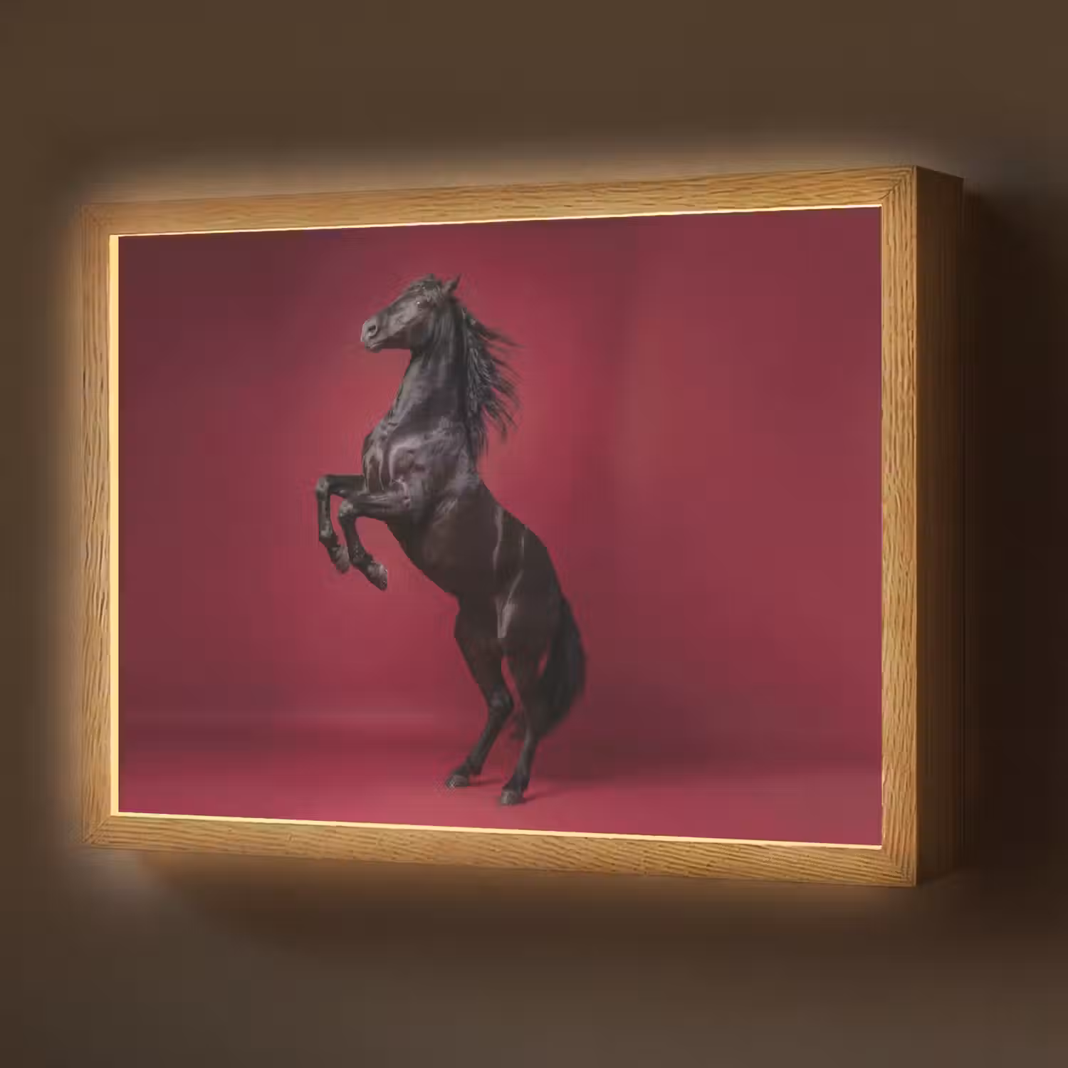 Hengst - Steigert - Rood Light Box met batterij (Wandlamp) middel -z3d_website