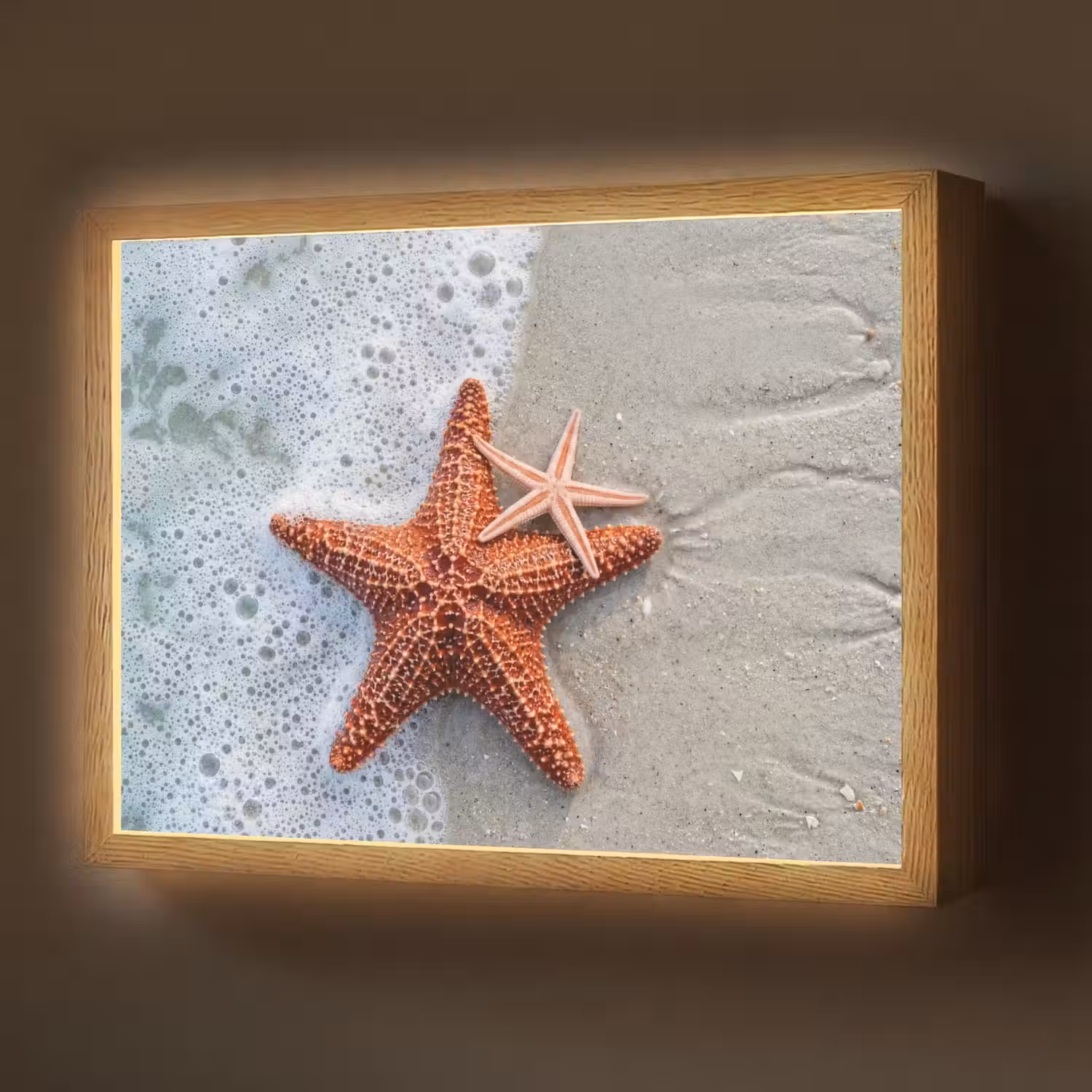 Zeester - Strand - Zee Light Box met batterij (Wandlamp) middel -z3d_website