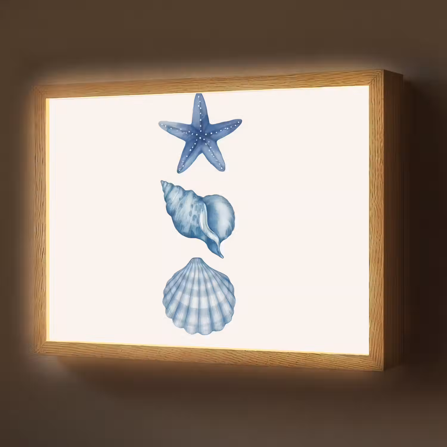 Zeester - Schelpen - Blauw Light Box met batterij (Wandlamp) middel -z3d_website