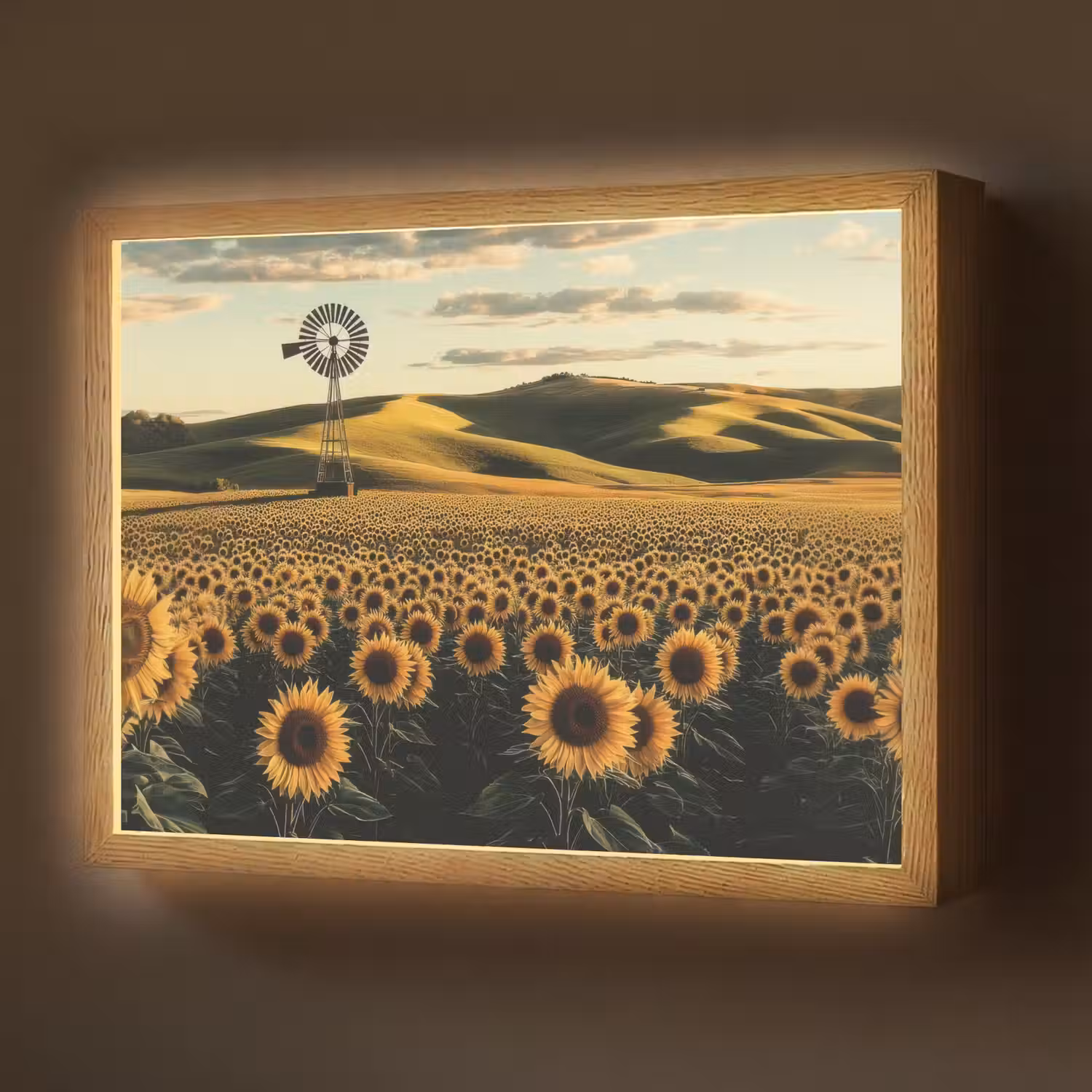 Zonnebloem - Veld - Windmolen Light Box met batterij (Wandlamp) middel -z3d_website