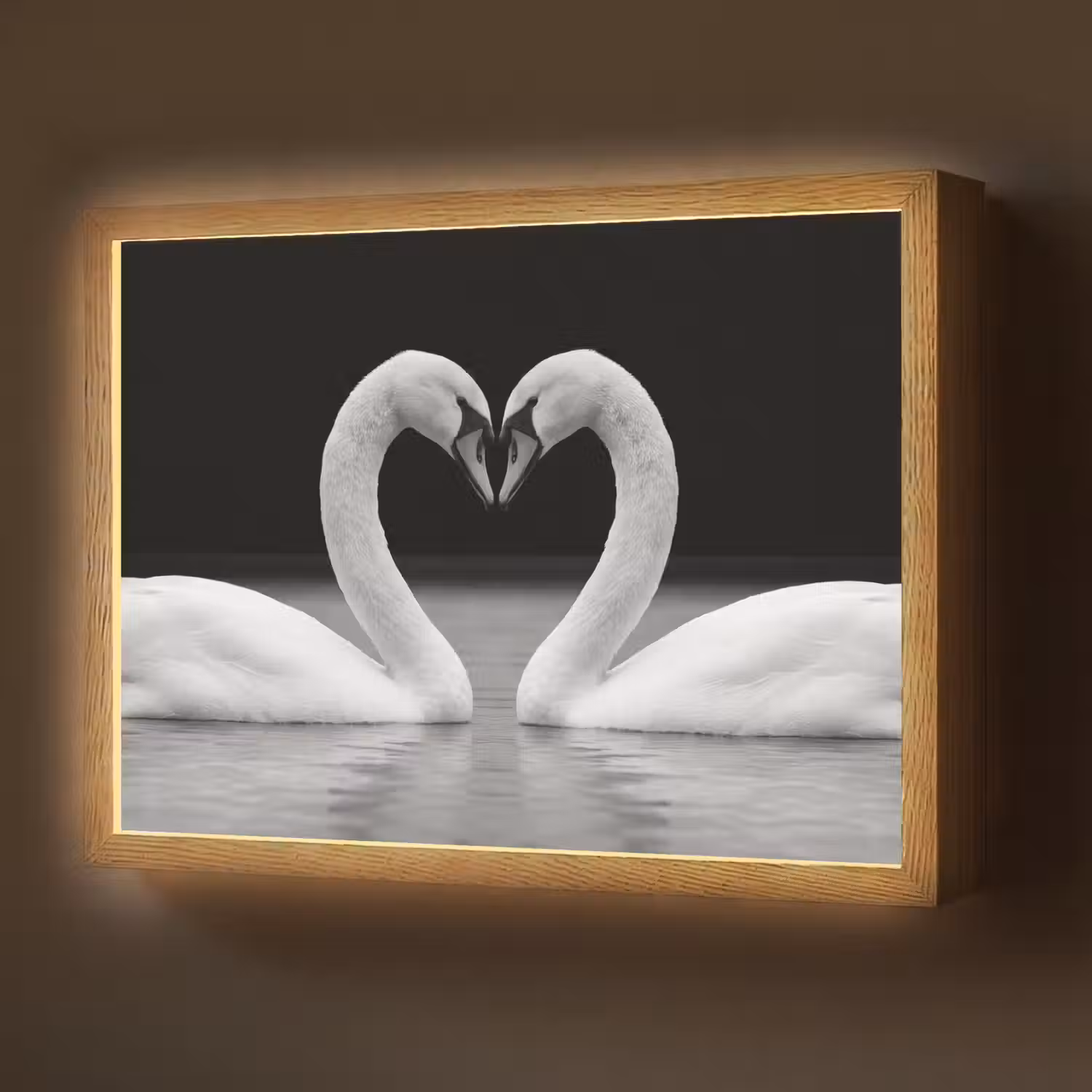 Zwanen - Hart - Zwart - Wit Light Box met batterij (Wandlamp) middel -z3d_website