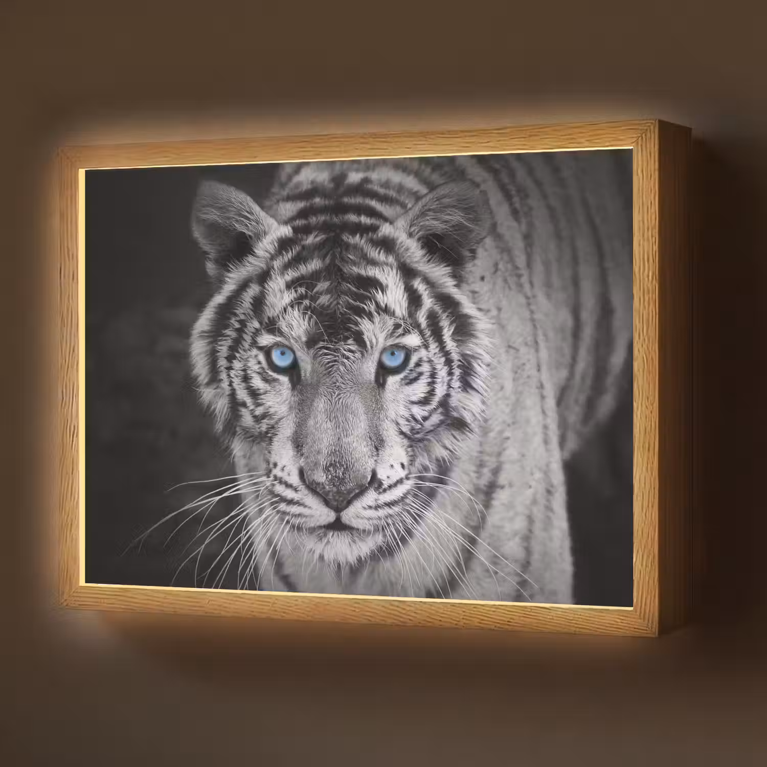 Tijger - Dier - Zwart - Blauw - Modern Light Box met batterij (Wandlamp) middel -z3d_website