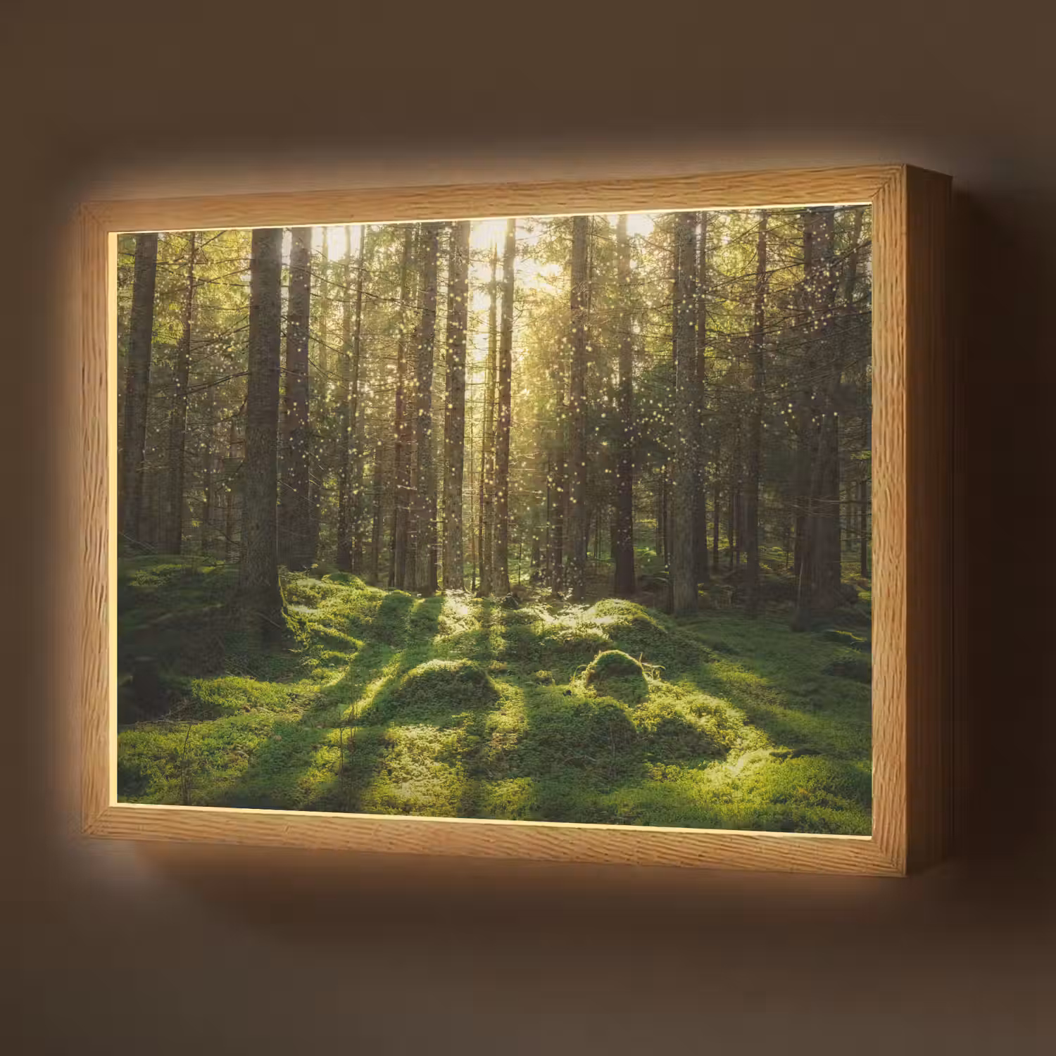 Bomen - Bos - Mos - Planten - Zon - Natuur Light Box met batterij (Wandlamp) middel -z3d_website