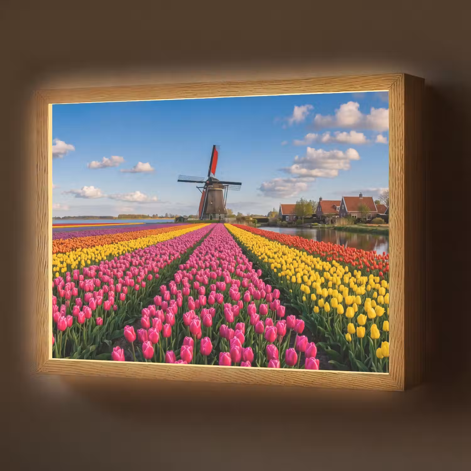 Tulpen - Holland - Molen - Kleurrijk Light Box met batterij (Wandlamp) middel -z3d_website