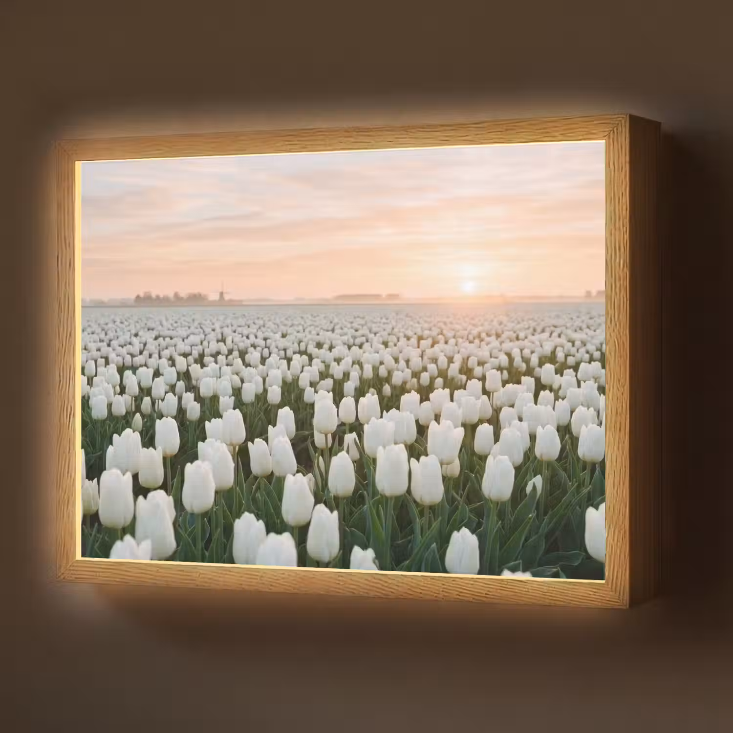 Tulpen - Landschap - Wit Light Box met batterij (Wandlamp) middel -z3d_website