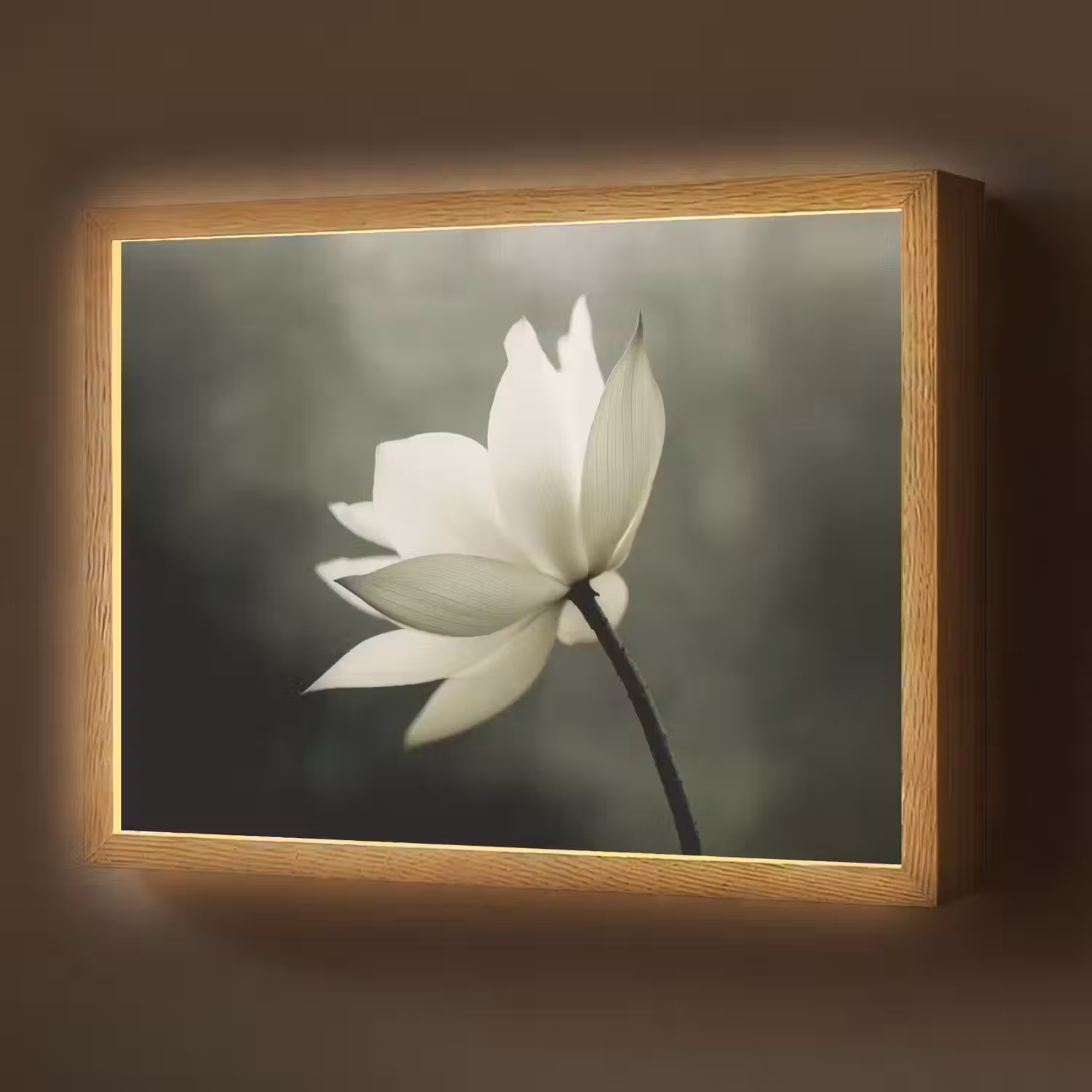 Wit - Lotus - Donker - Bloem Light Box met batterij (Wandlamp) middel -z3d_website