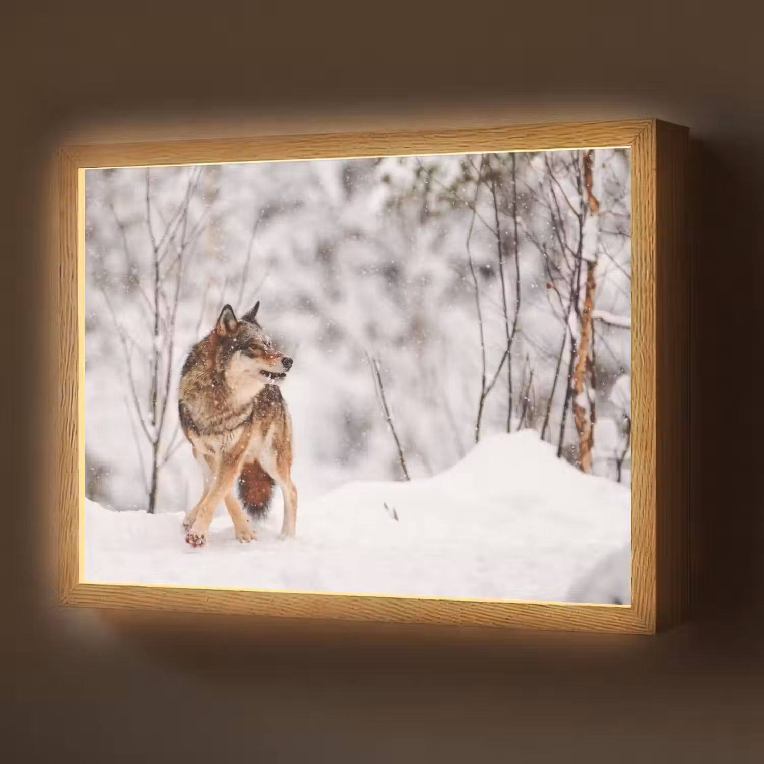 Wolf - Winter - Sneeuw - Natuur - Dieren Light Box met batterij (Wandlamp) middel -z3d_website