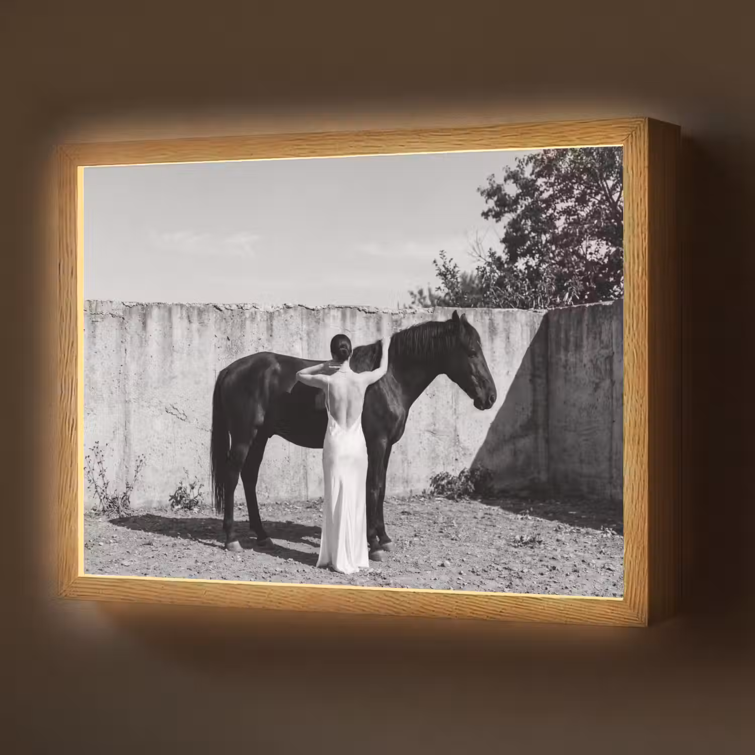 Vrouw - Paard - Artistiek Light Box met batterij (Wandlamp) middel -z3d_website