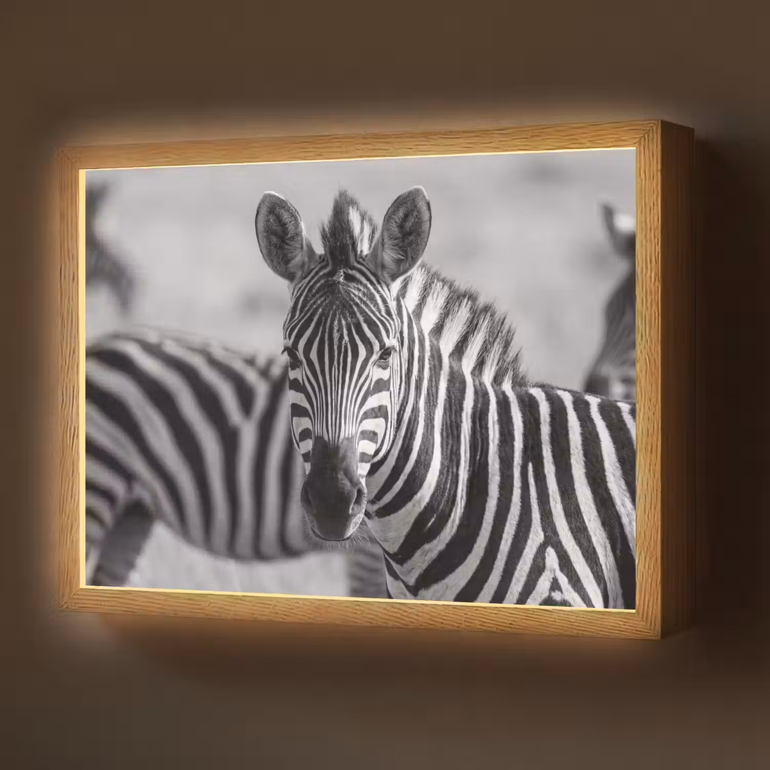 Zebra's - Zwart - Wit Light Box met batterij (Wandlamp) middel -z3d_website
