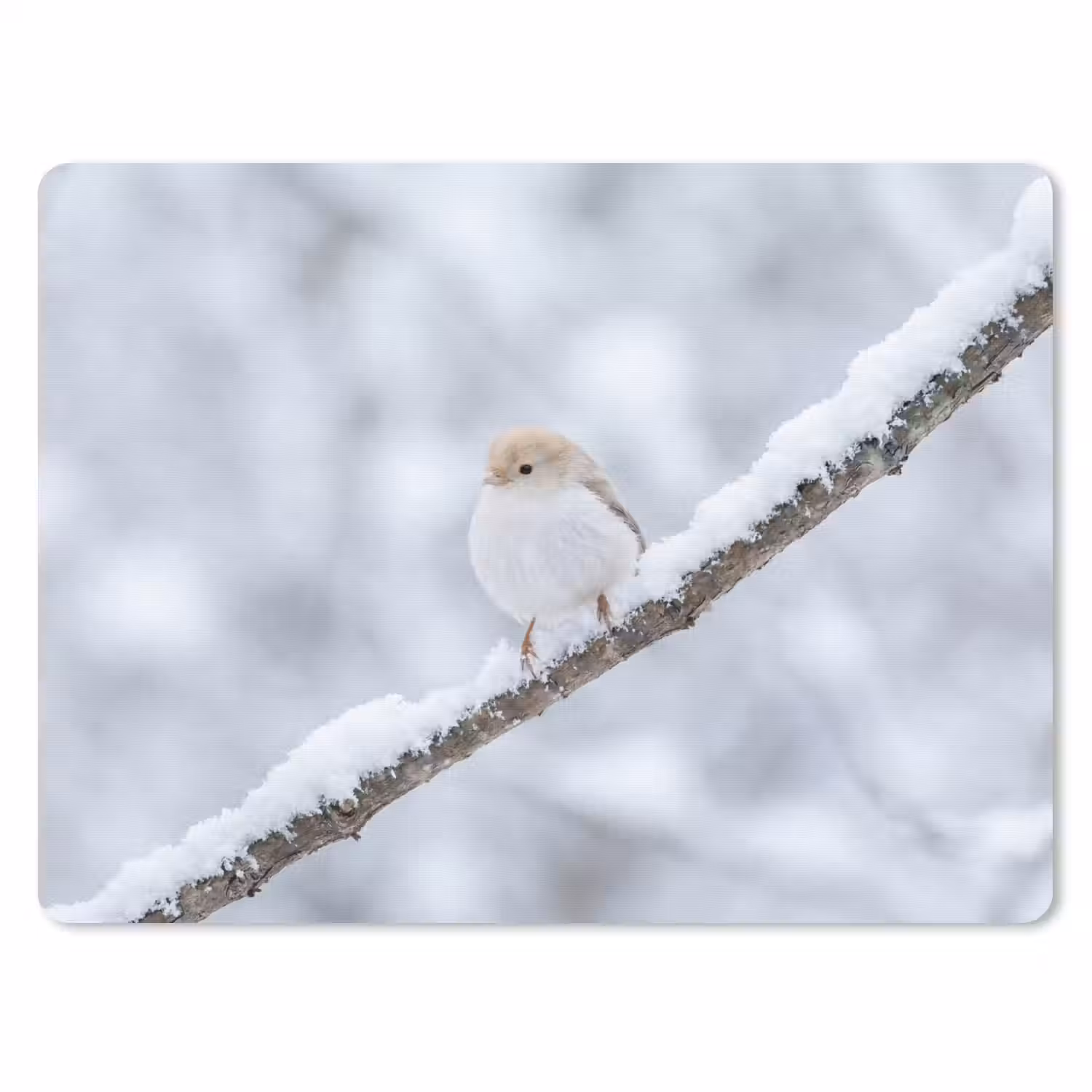 Vogeltje - Sneeuw - Tak - Winter - Zacht muismat rubber klein -3d