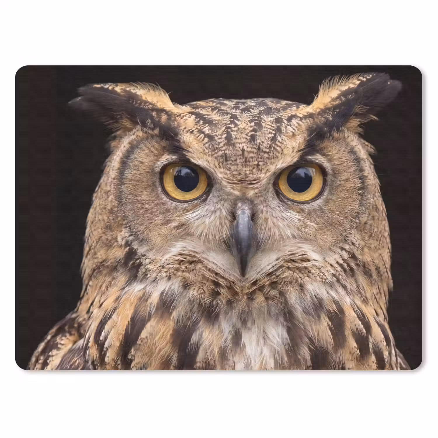 Oehoe - Uil - Portret - Bruin muismat rubber klein -3d
