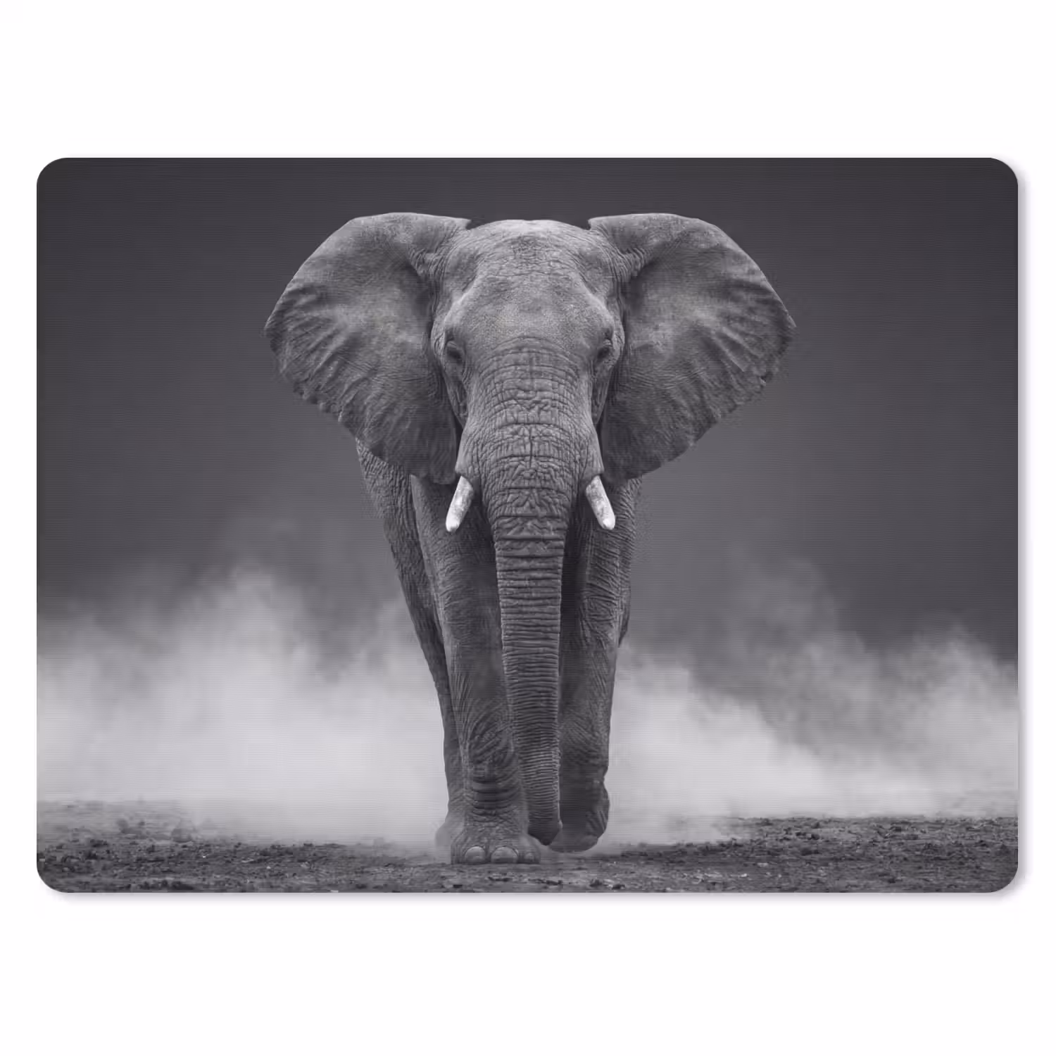 Olifant - Zwart - Wit - Rook muismat rubber klein -3d