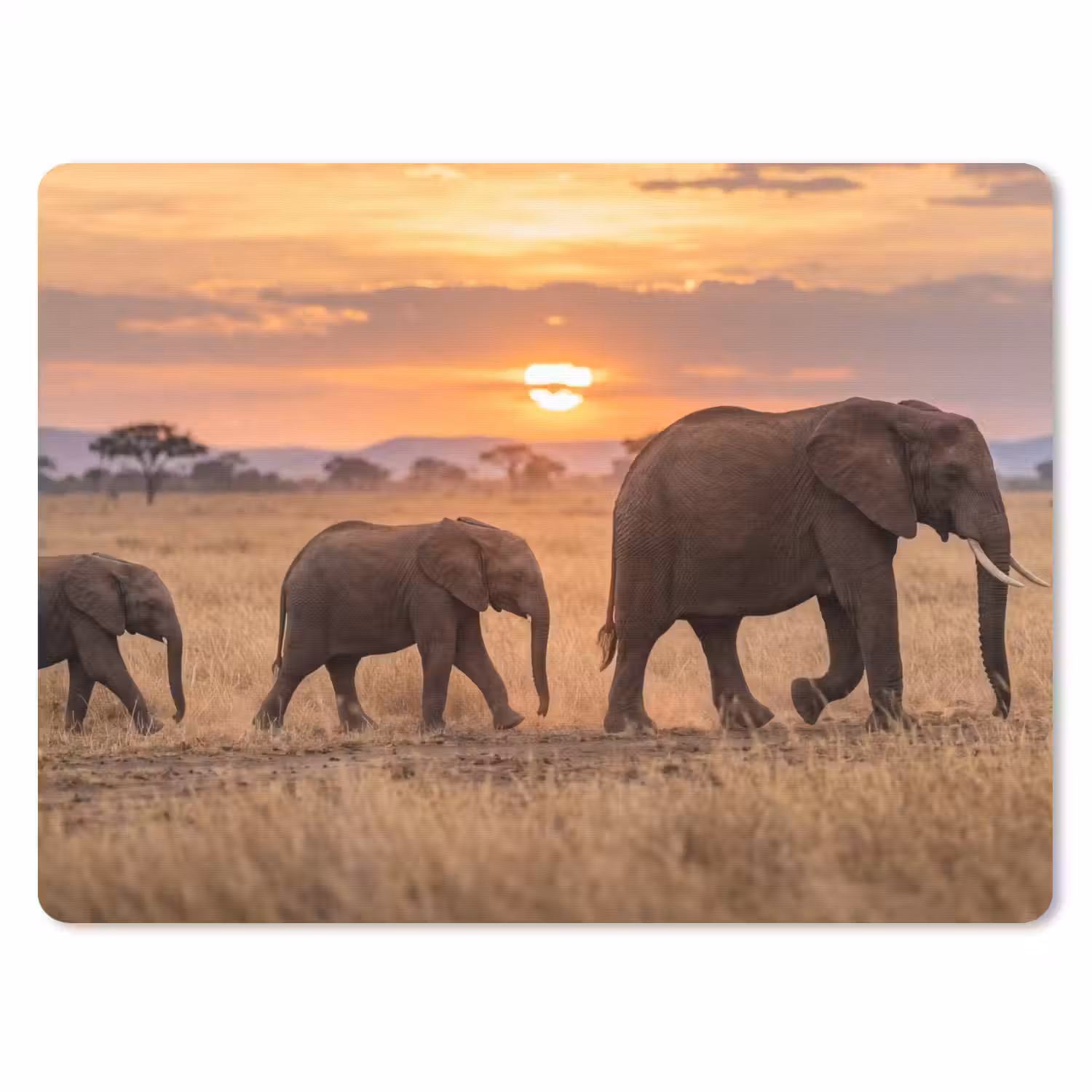 Olifanten - Savanne - Zonsondergang - Afrika - Warm muismat rubber klein -3d