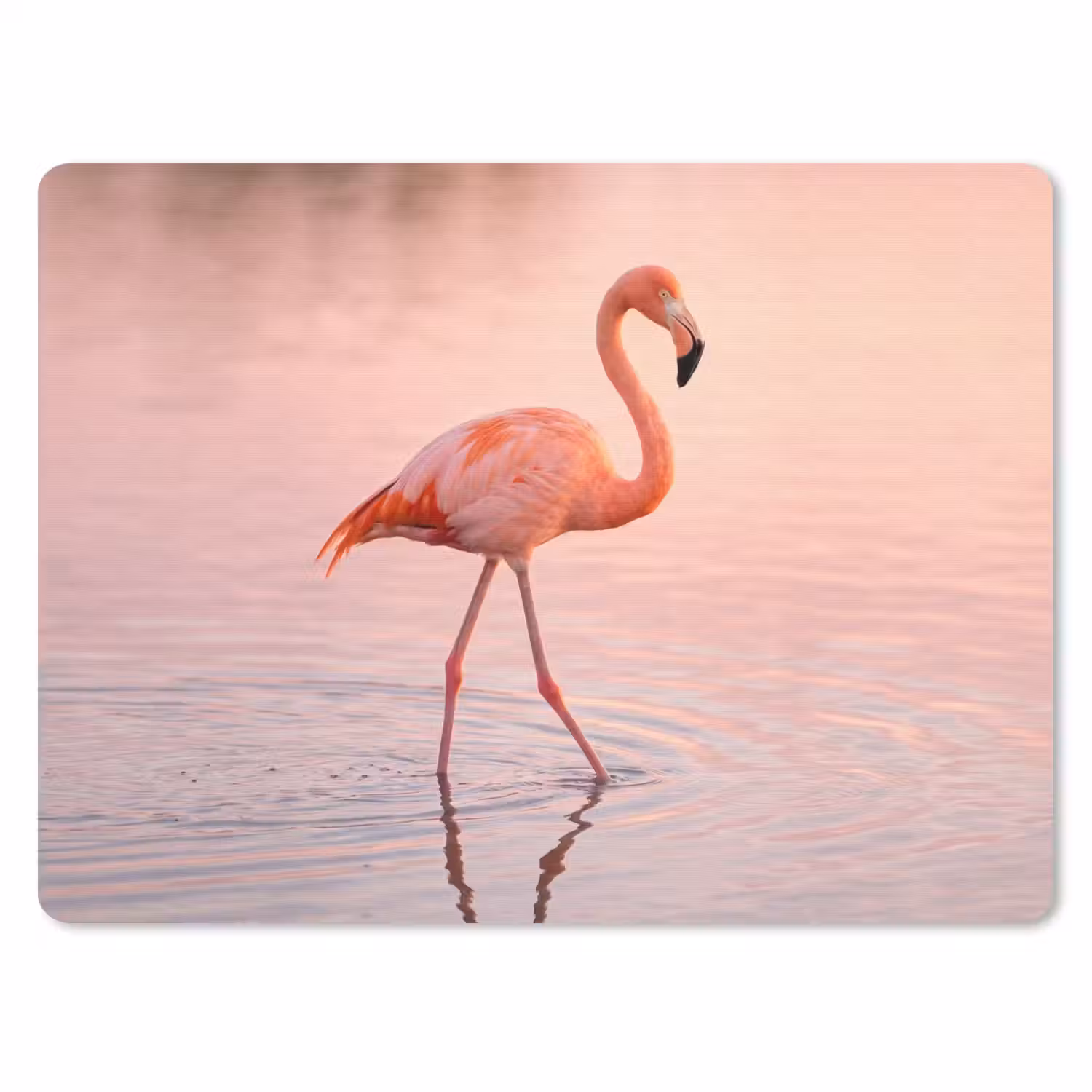 Flamingo - Water - Roze muismat rubber klein -3d