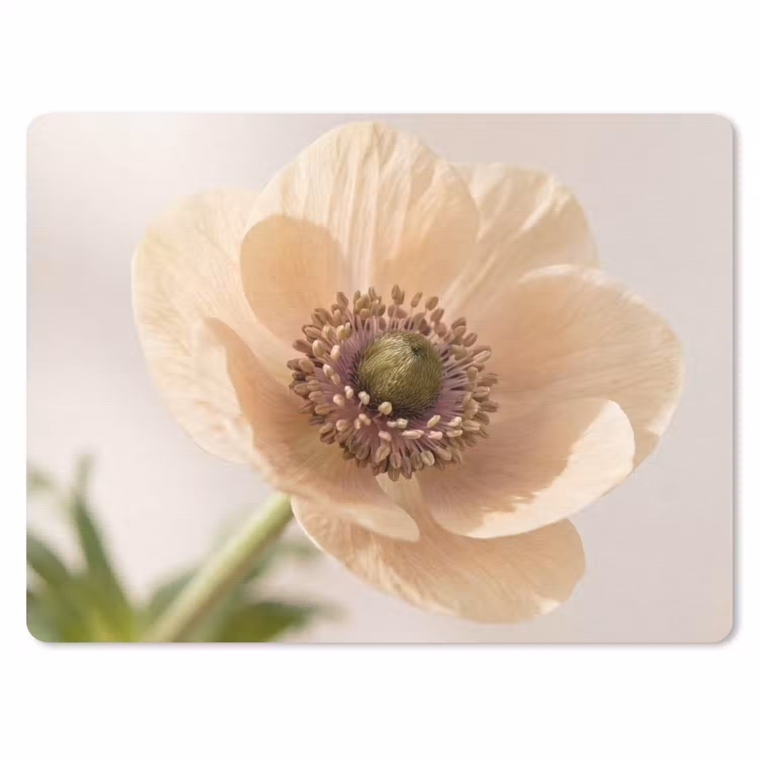 Bloem - Minimalistisch - Groen muismat rubber klein -3d