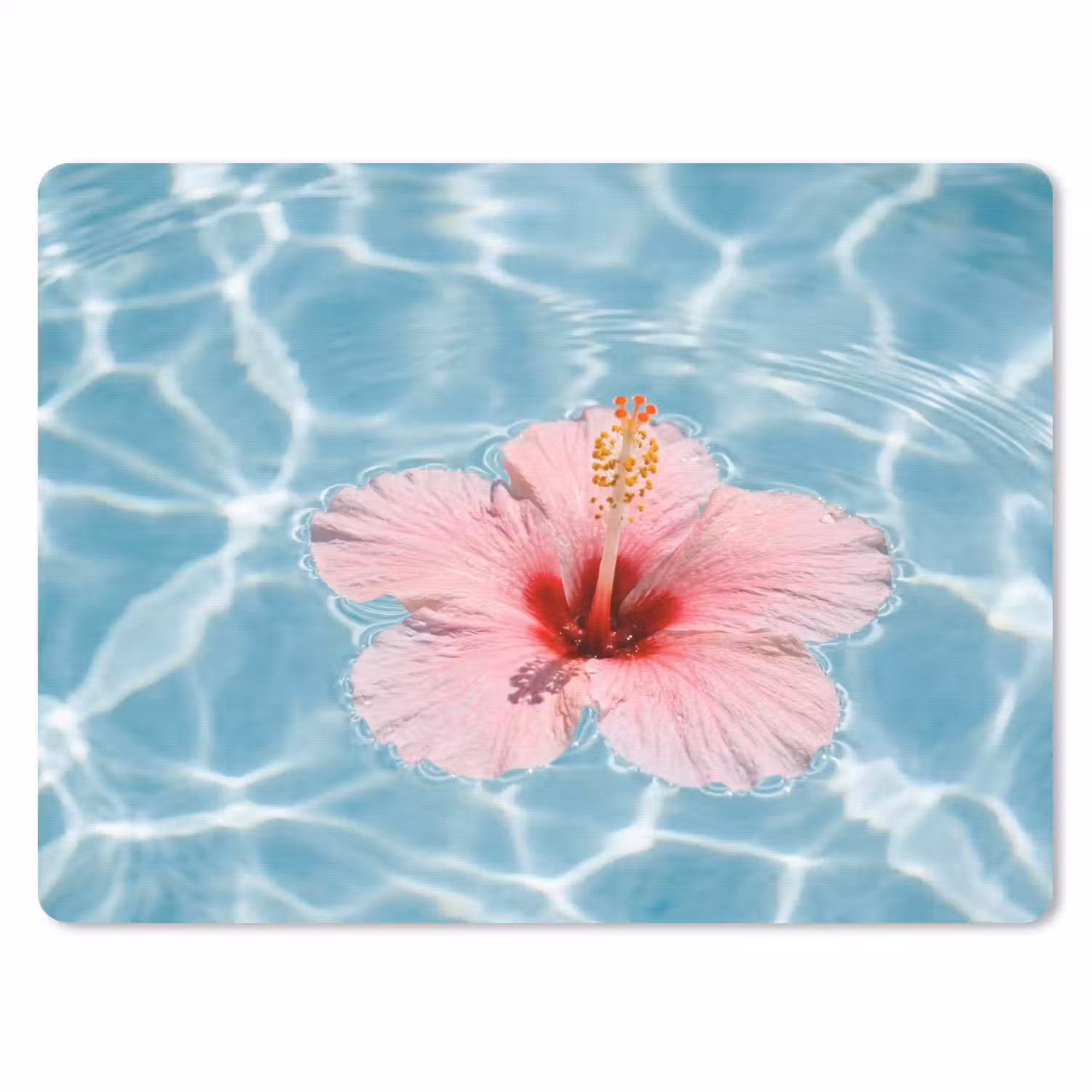 Hibiscus - Water - Roze muismat rubber klein -3d