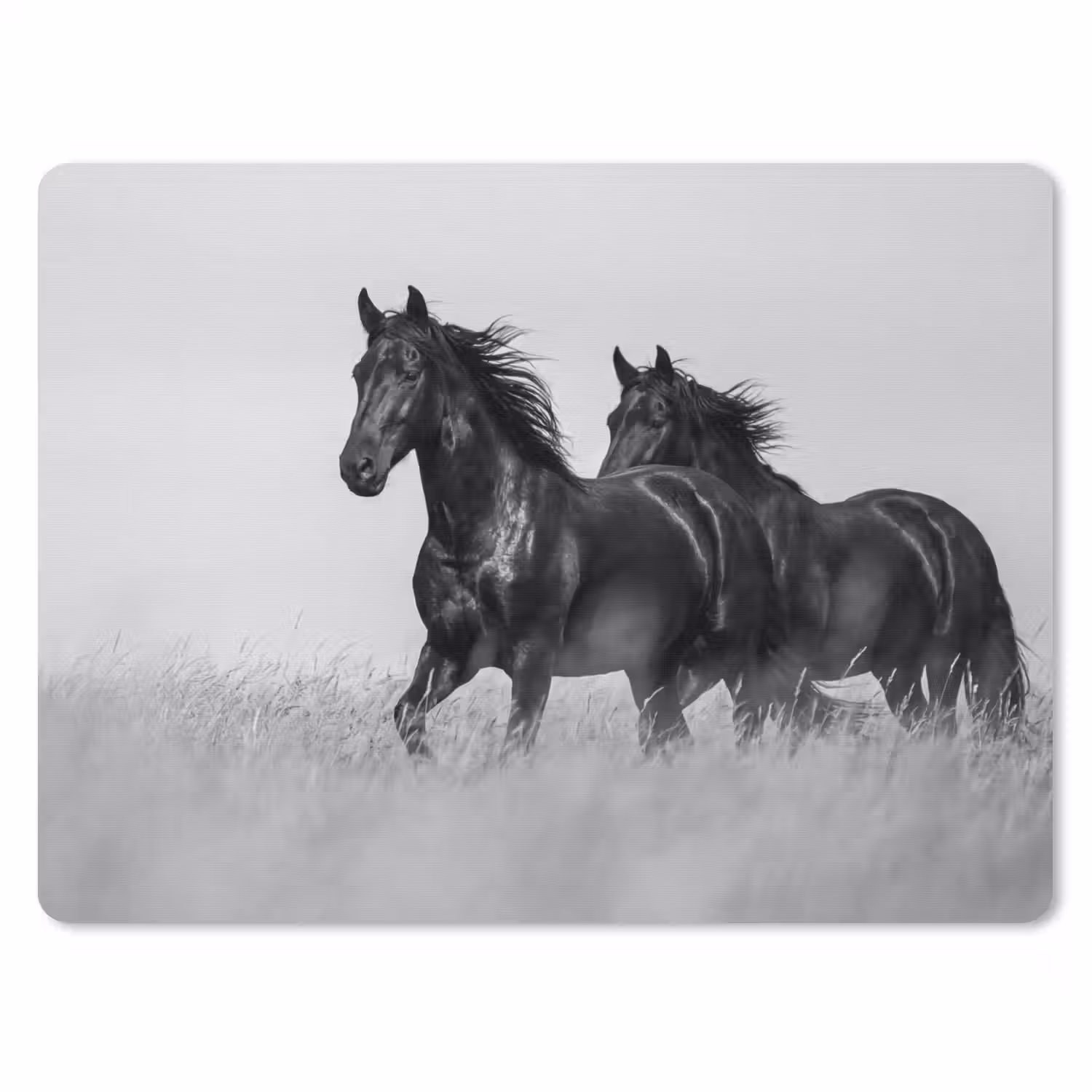 Paarden - Gras - Zwart - Wit muismat rubber klein -3d