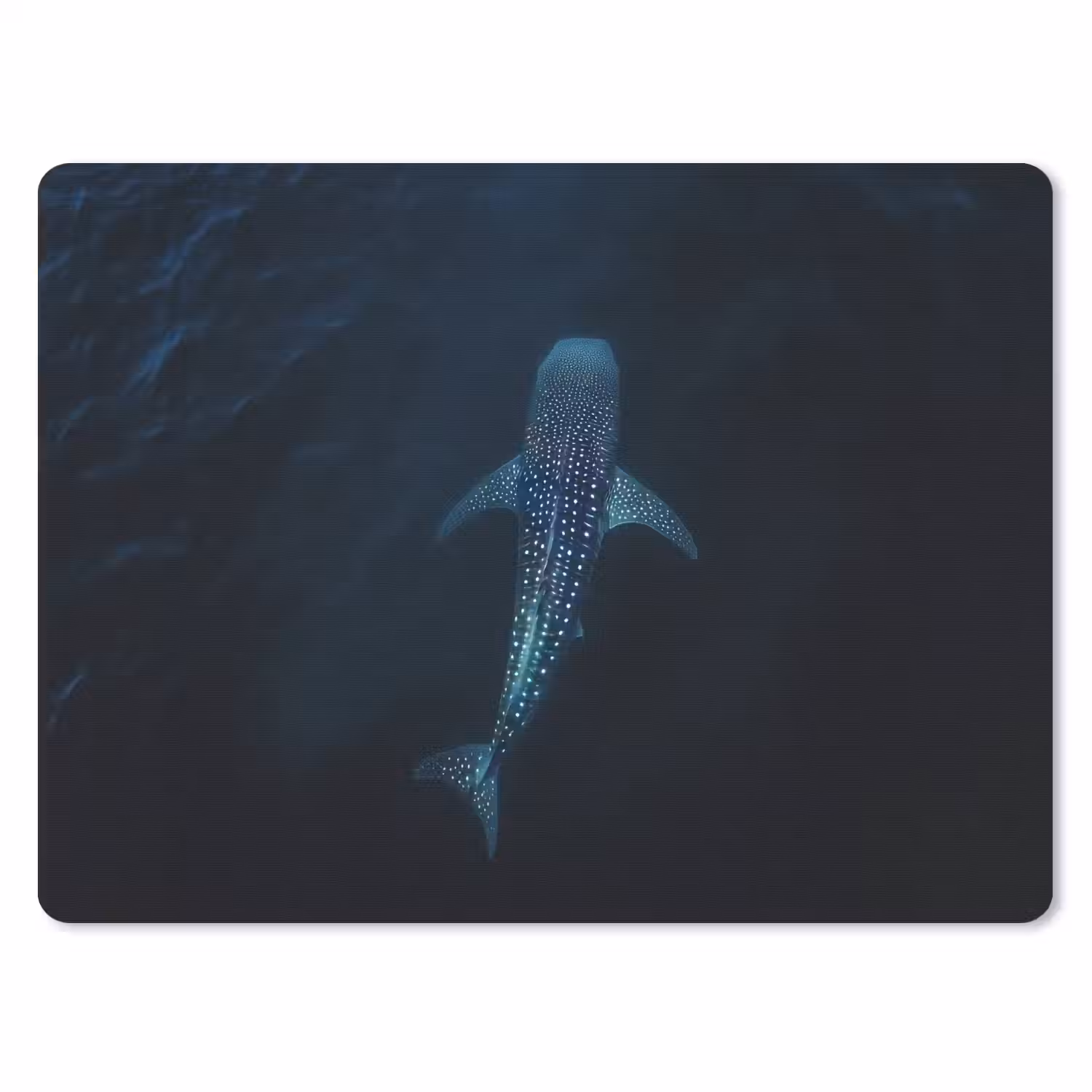 Oceaan - Walvishaai - Donkerblauw - Vlekken muismat rubber klein -3d