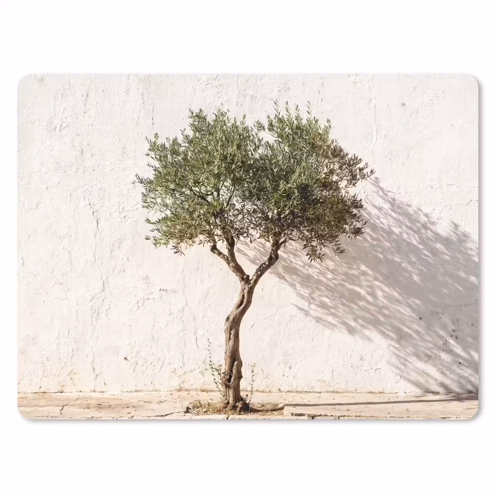 Mouse Pad - Olive Tree - Wall - White - Olijfboom - muur - wit muismat rubber klein