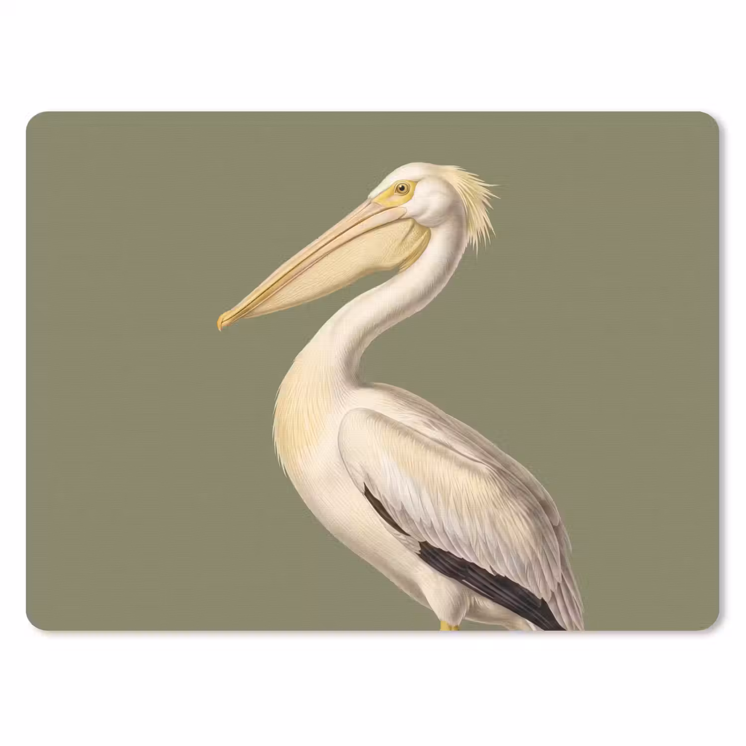 Pelikaan - Wit - Vogel - Klassiek - Natuur muismat rubber klein -3d
